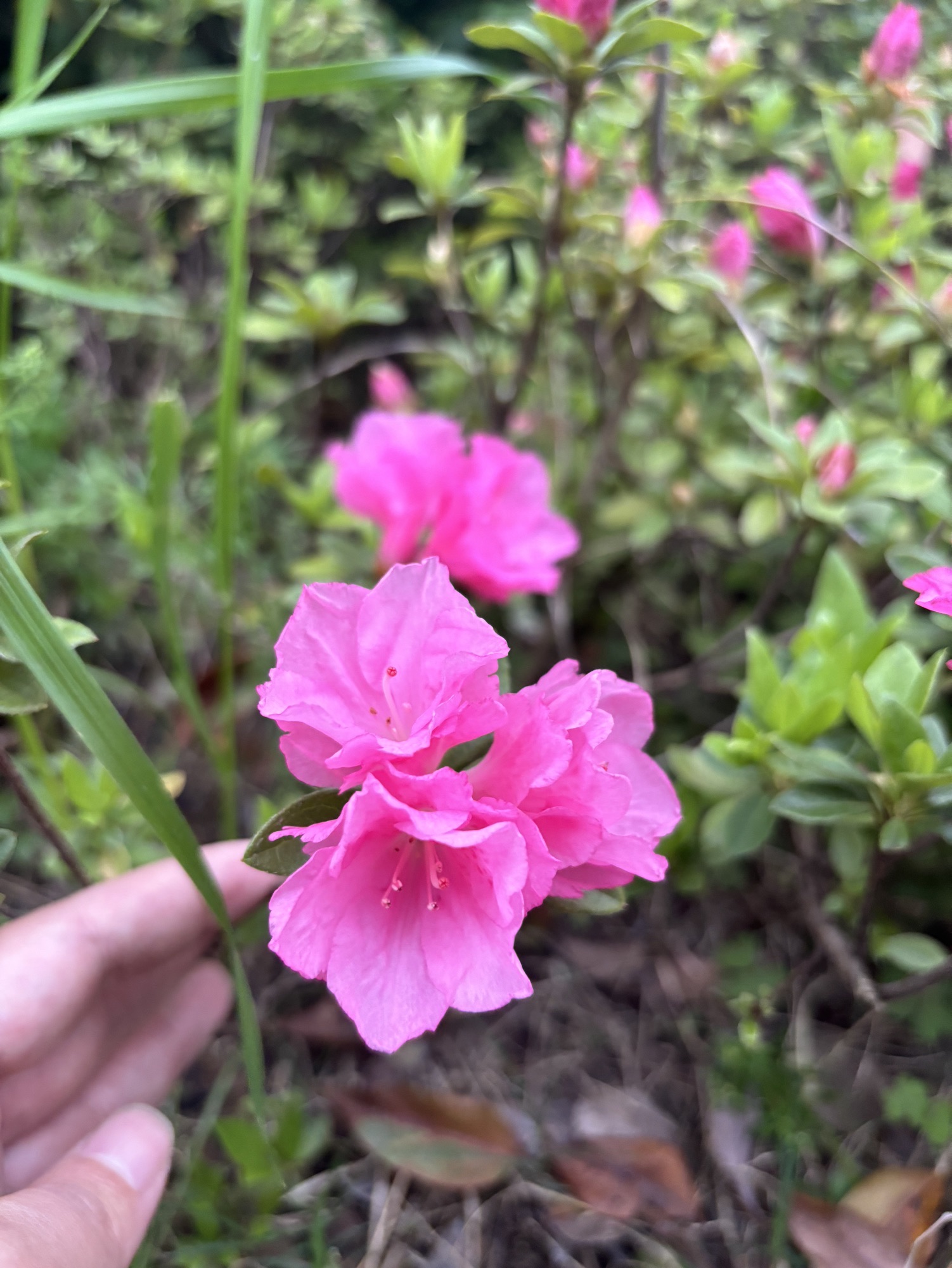 流蠡公园旅行图片 3