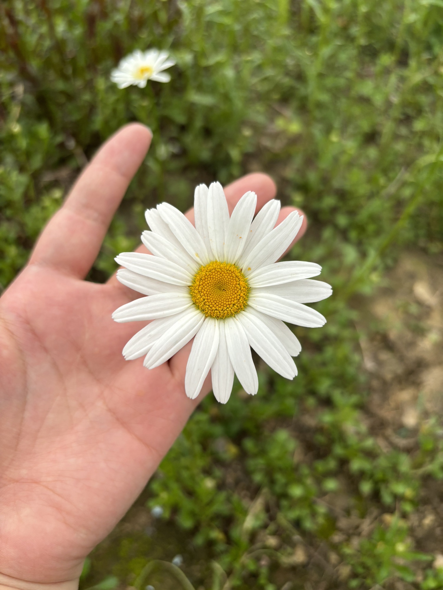 流蠡公园旅行图片 1