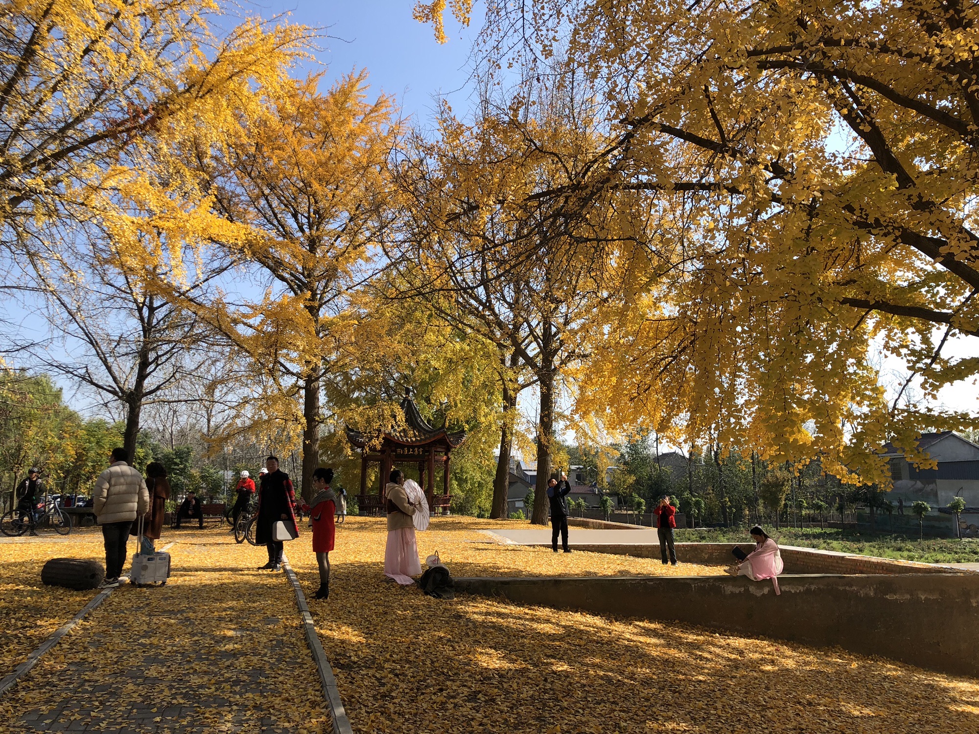 观淮亭旅行图片 3
