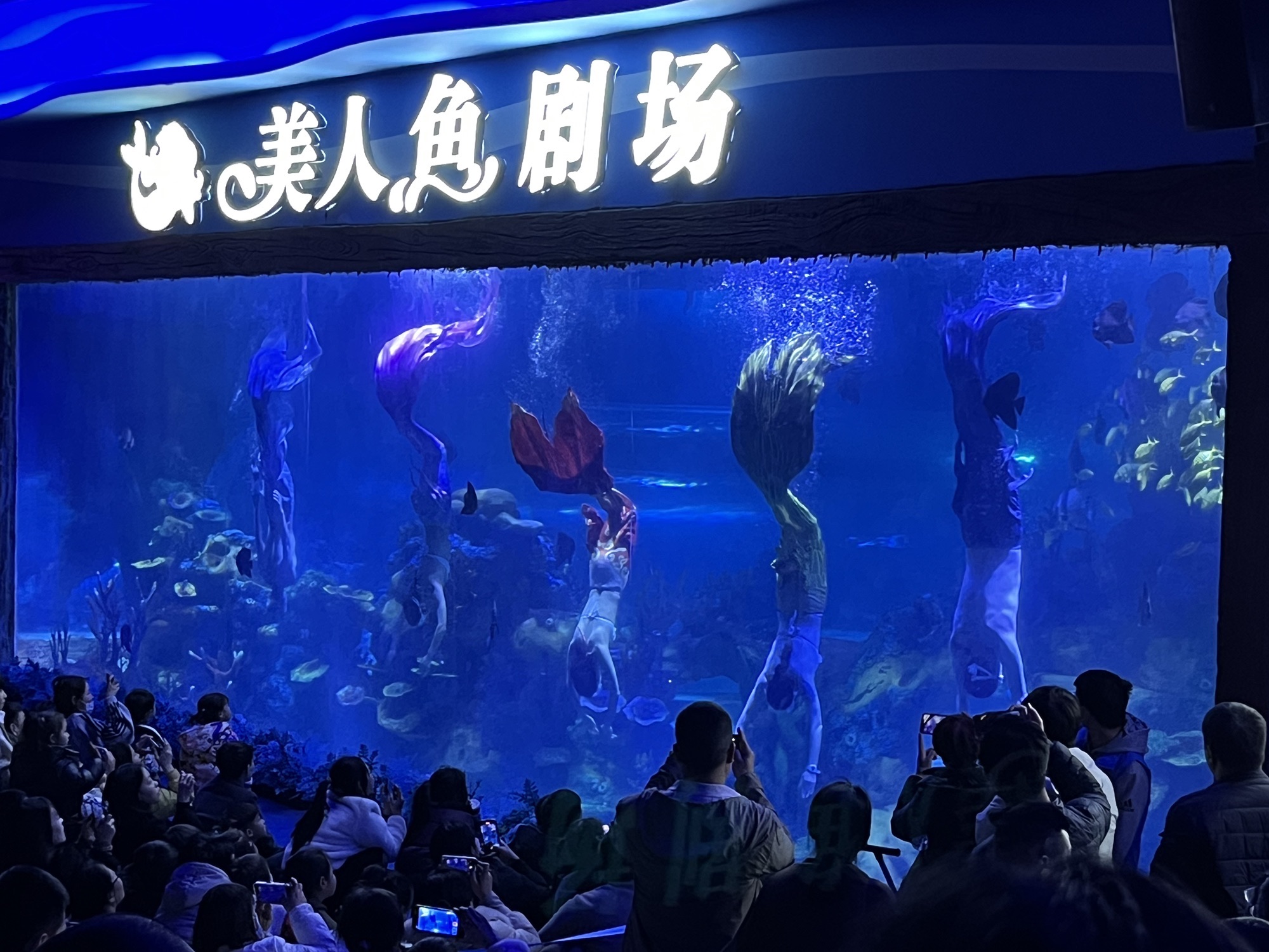 安阳梦幻海底世界旅行图片 2