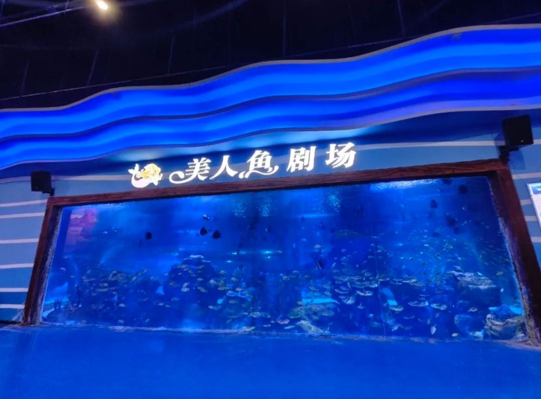 安阳梦幻海底世界旅行图片 3