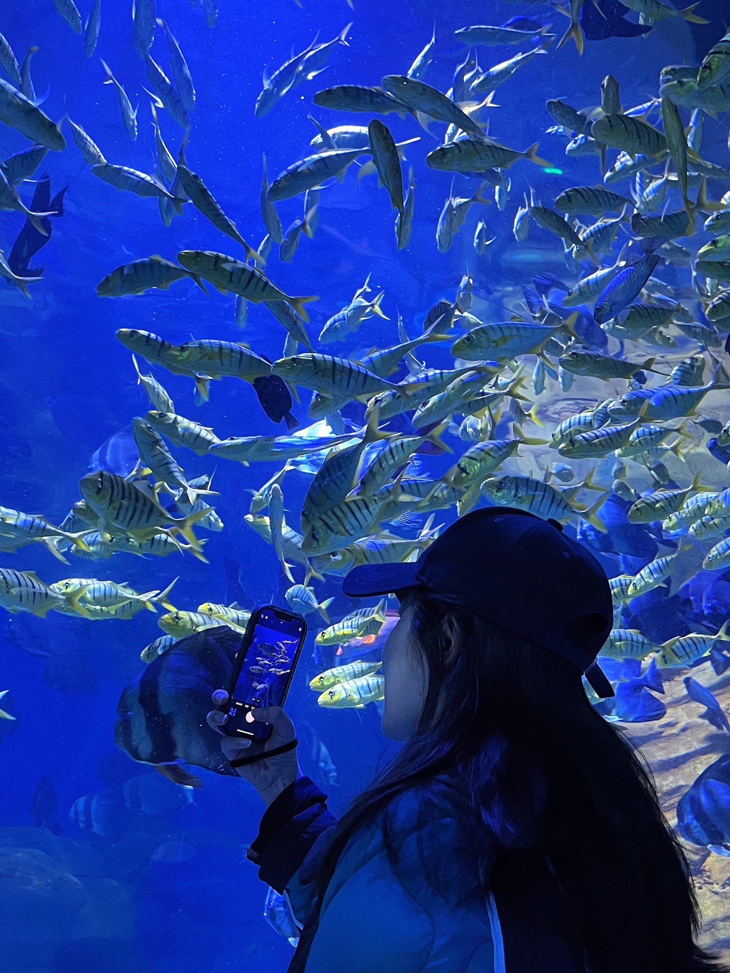 安阳梦幻海底世界旅行图片 1