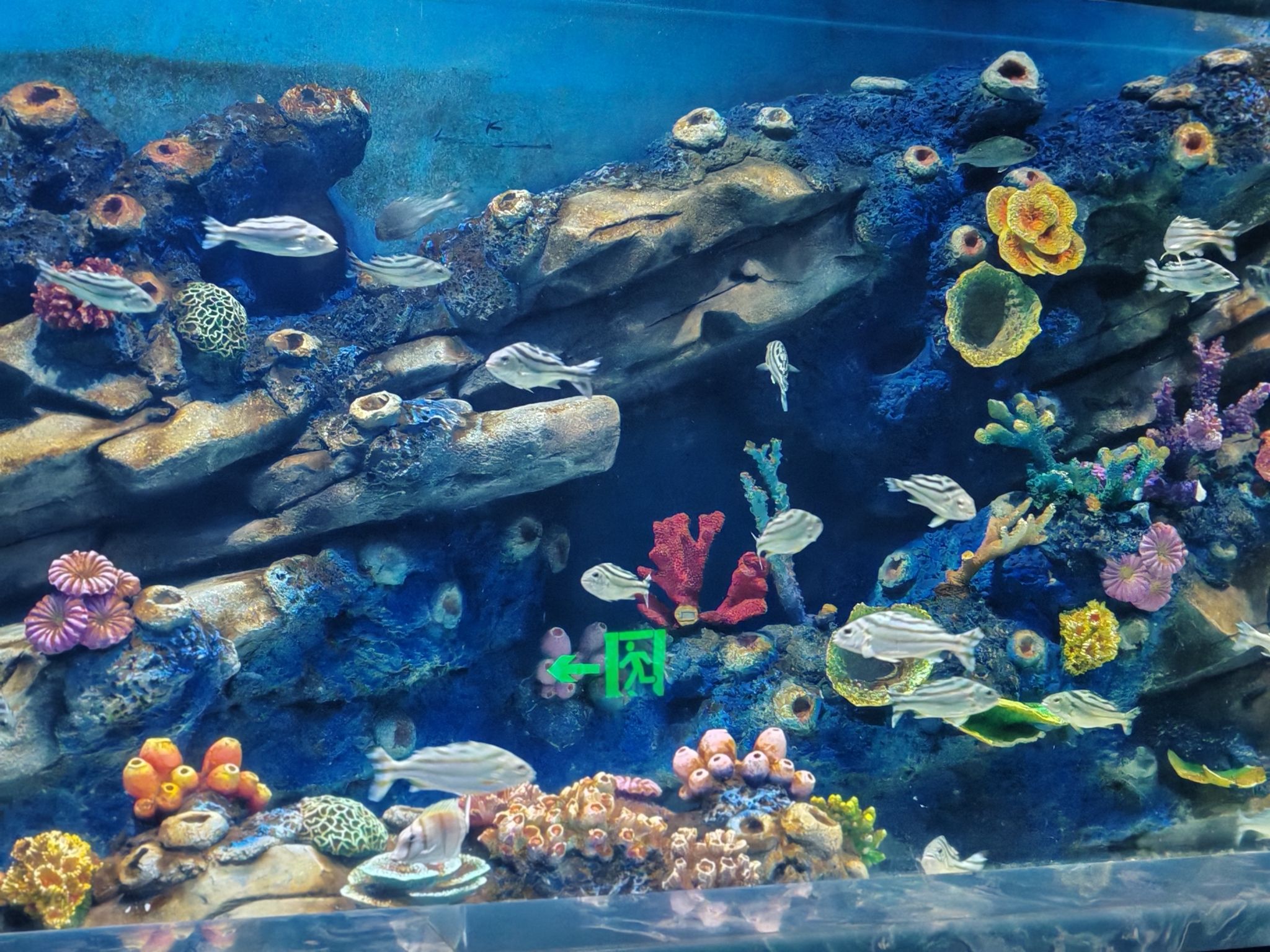 安阳梦幻海底世界旅行图片 1
