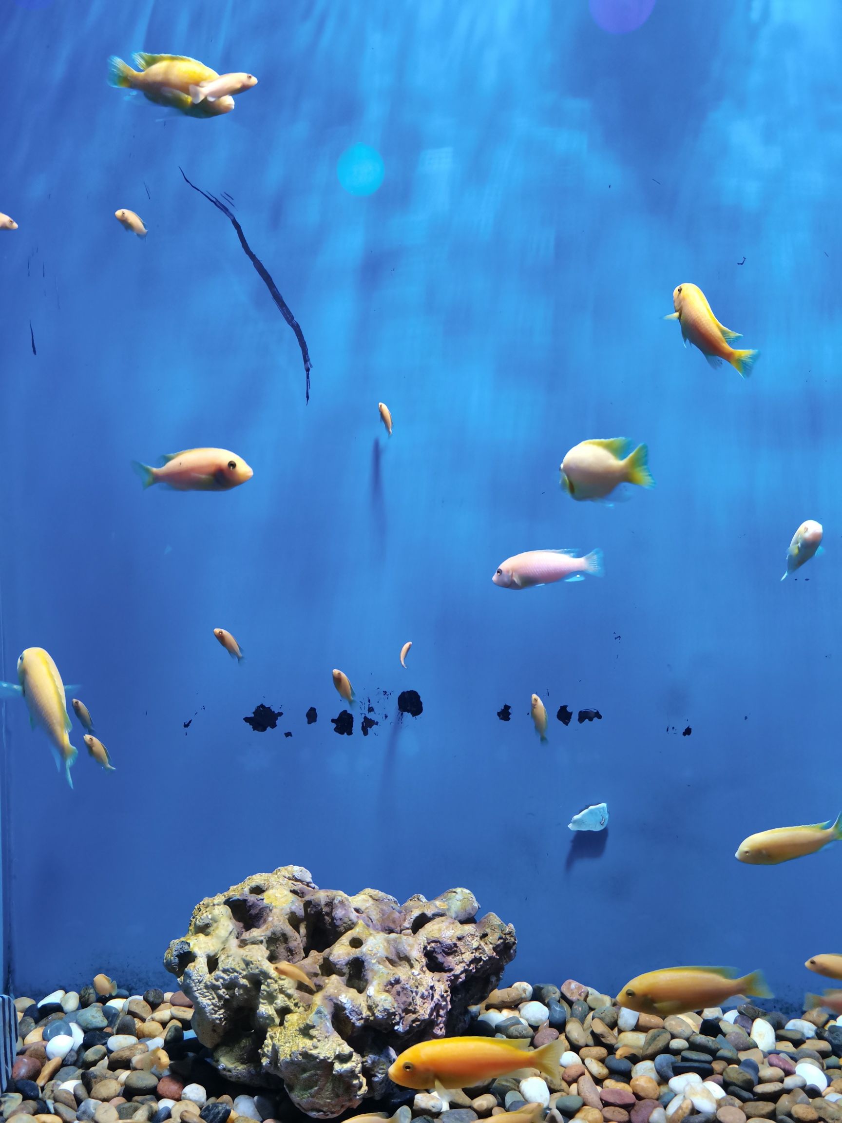 安阳梦幻海底世界旅行图片 3