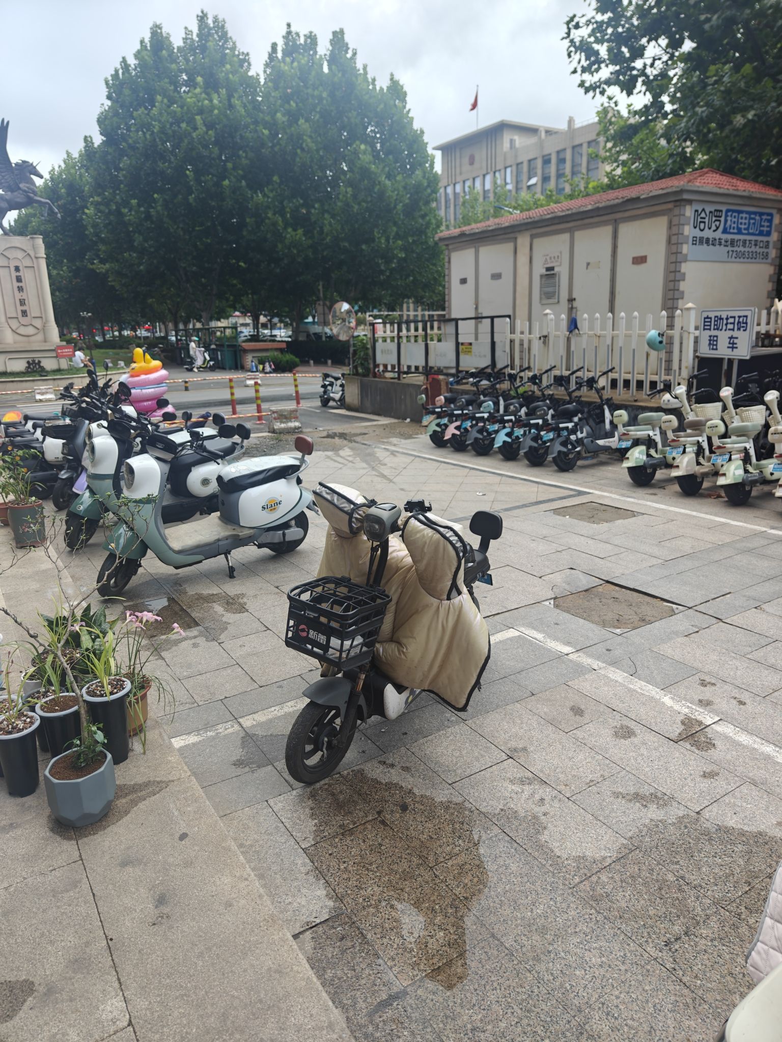 日照电动车出租(万平口灯塔店)