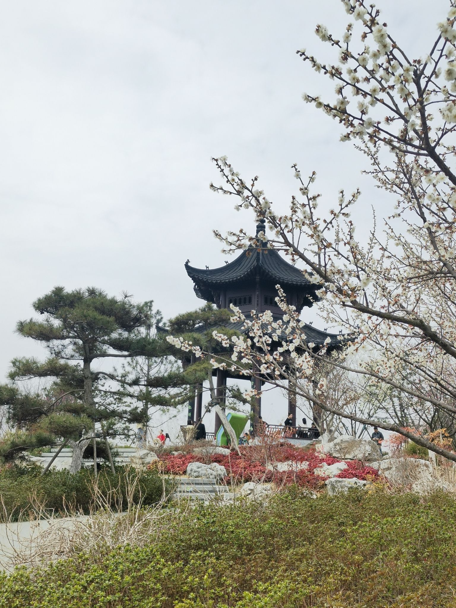 合肥园博园梅花园