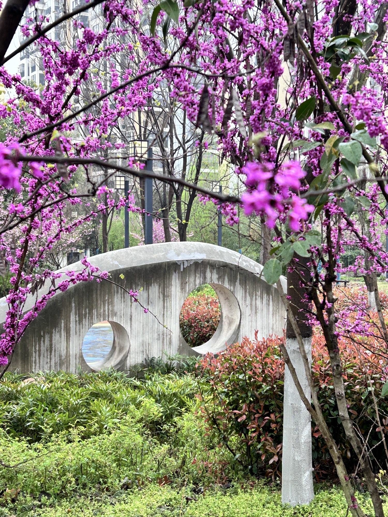 石头塘公园旅行图片 3