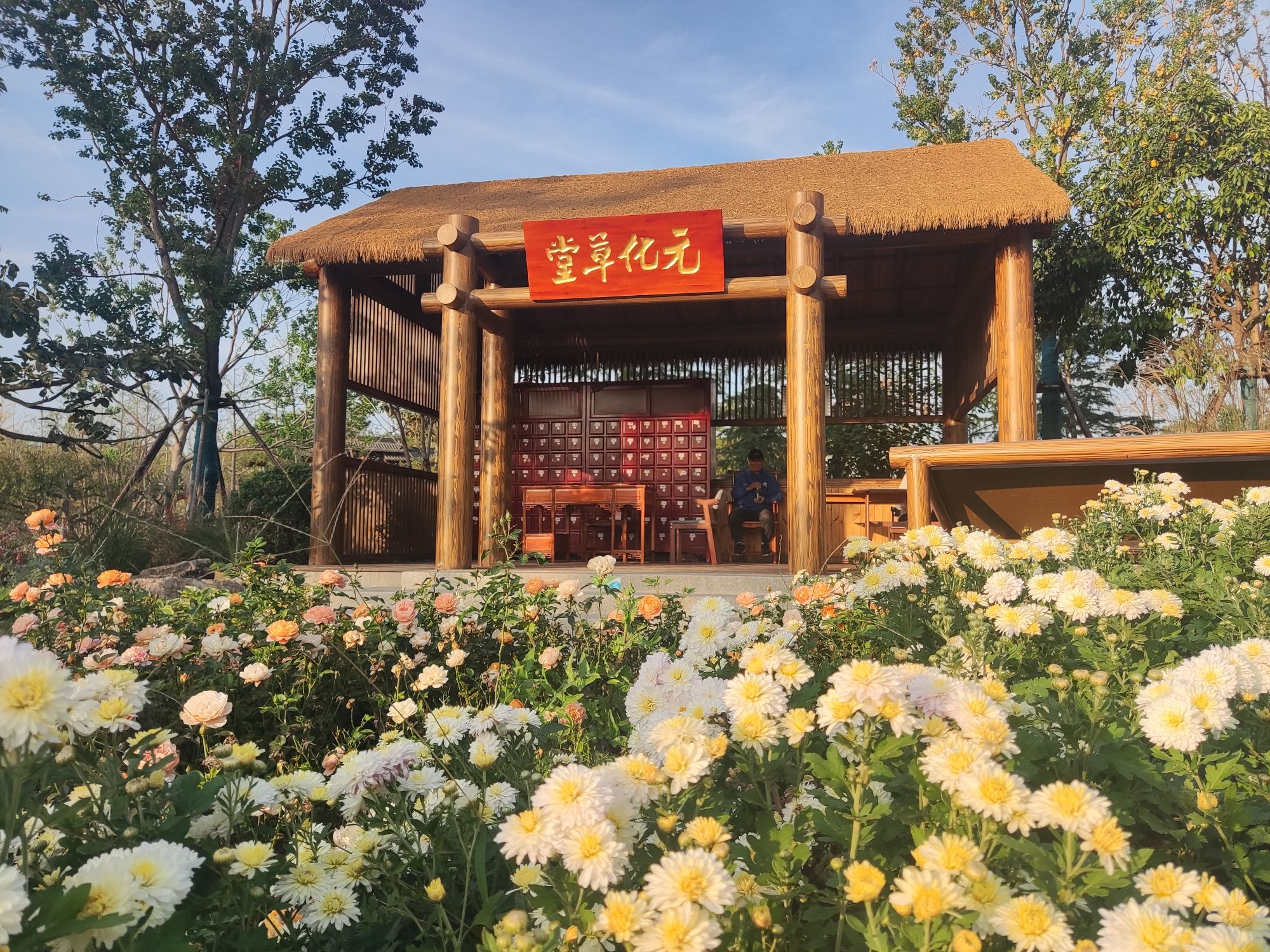 合肥园博园亳州园