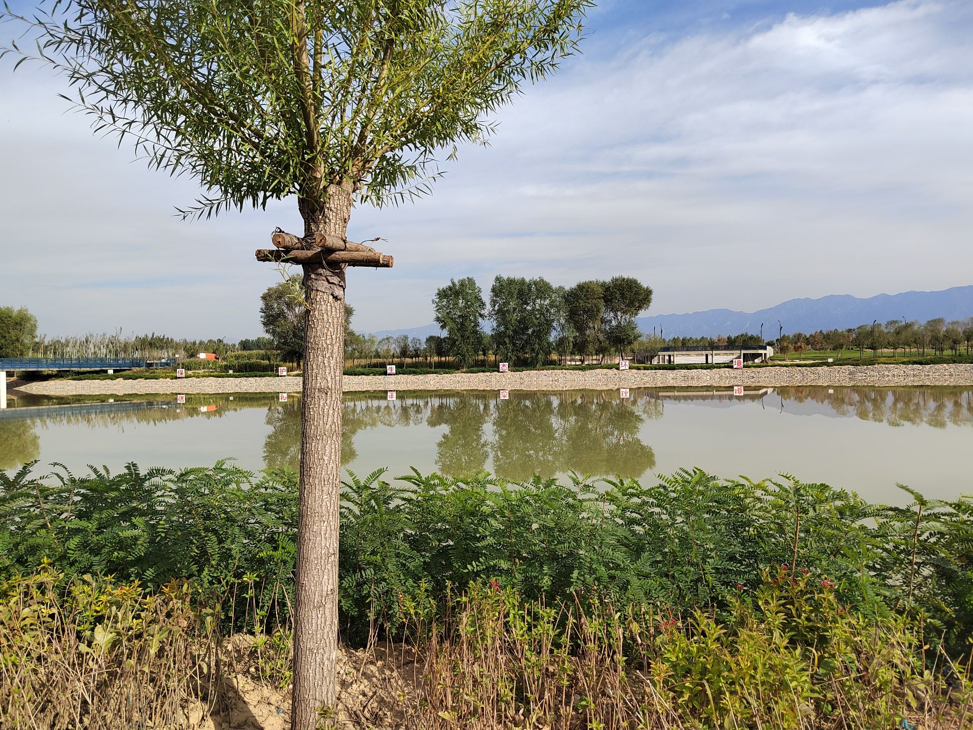 牧马河生态公园旅行图片 1