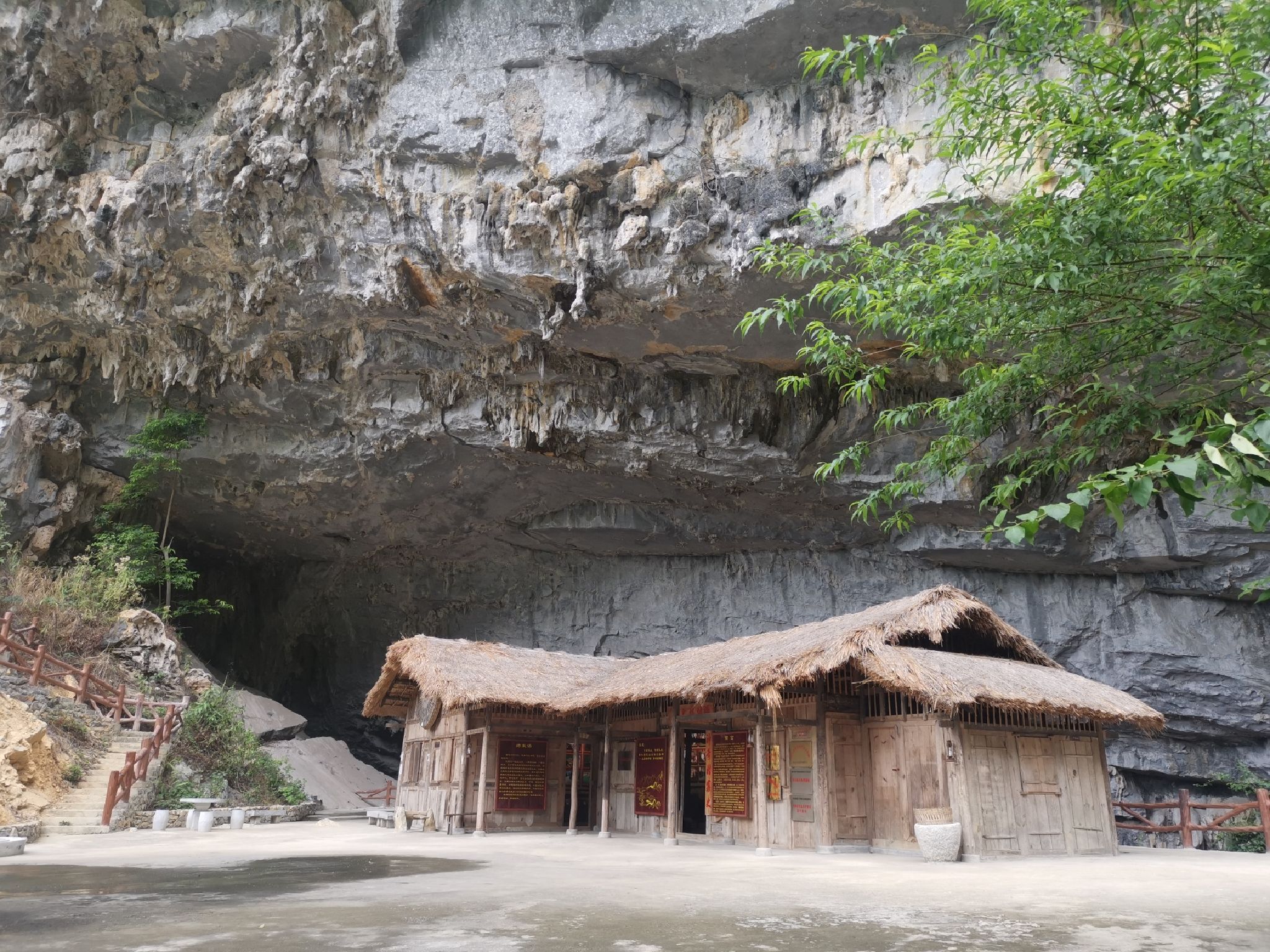 浩坤湖棕榈洞旅行图片 1