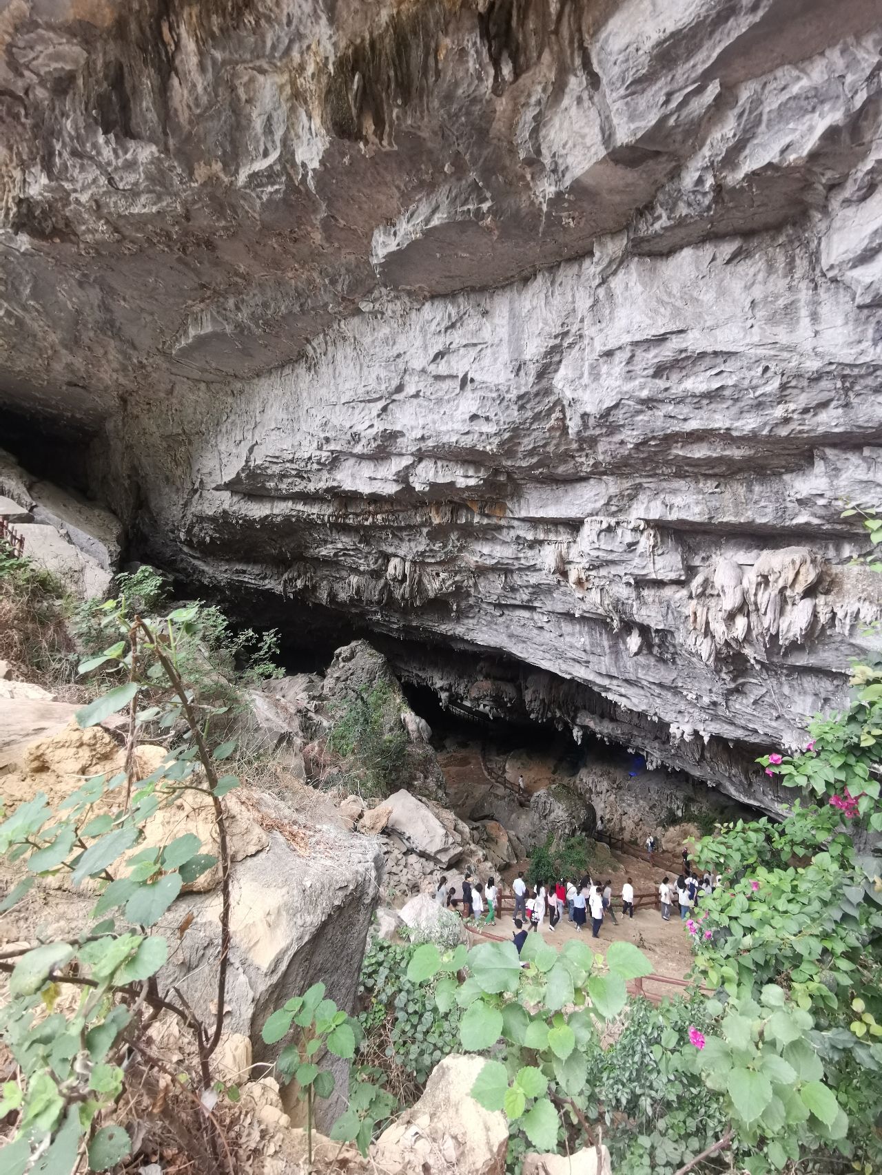 浩坤湖棕榈洞旅行图片 2