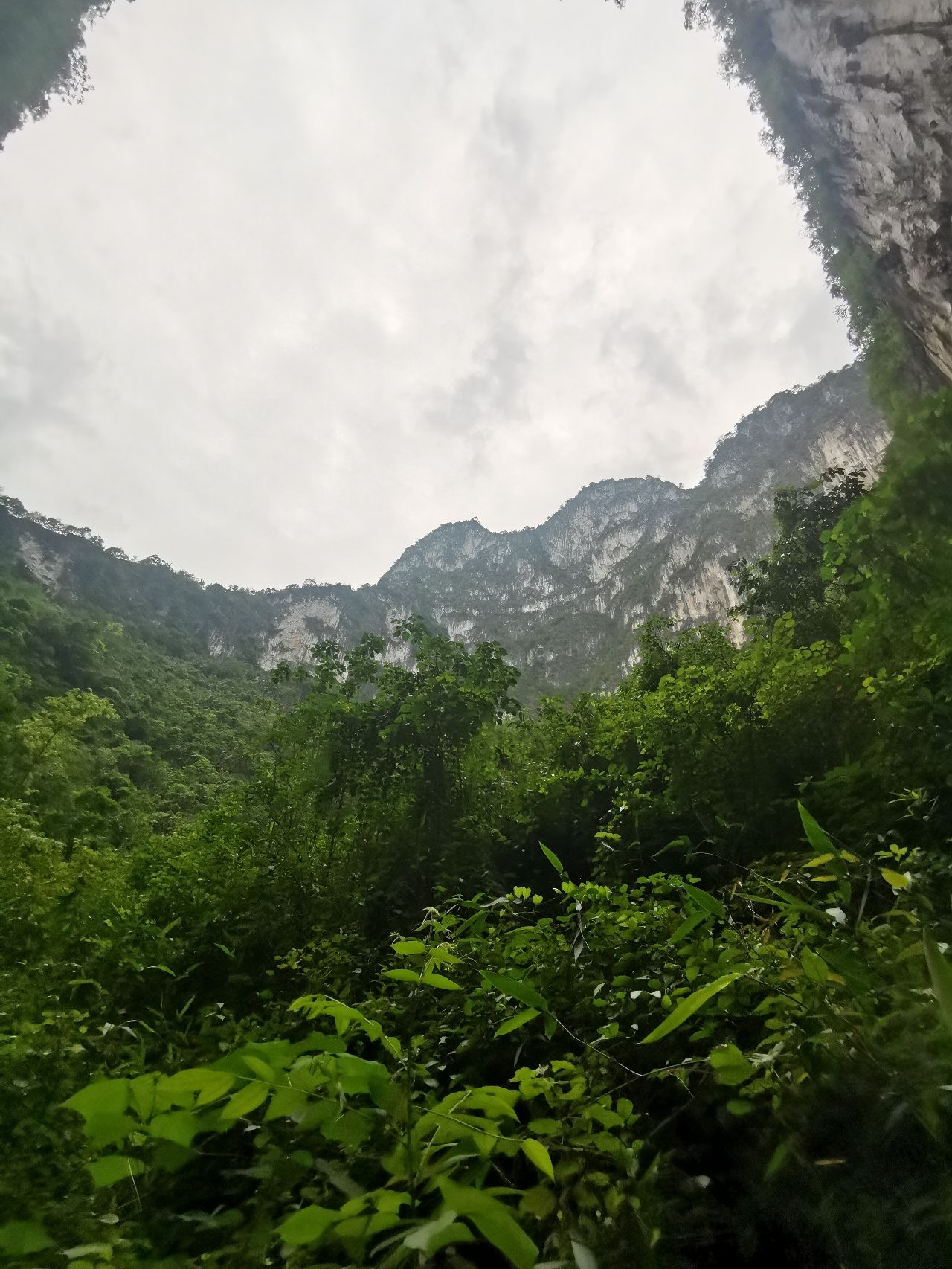 浩坤湖棕榈洞旅行图片 3