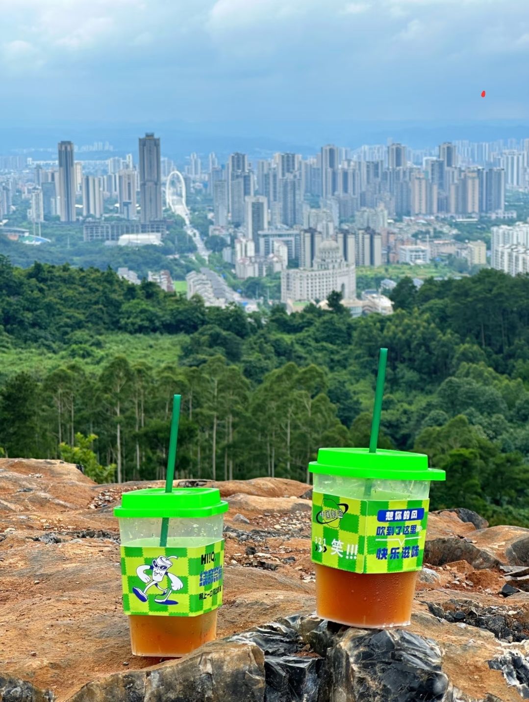 仰天狮观景平台旅行图片 1