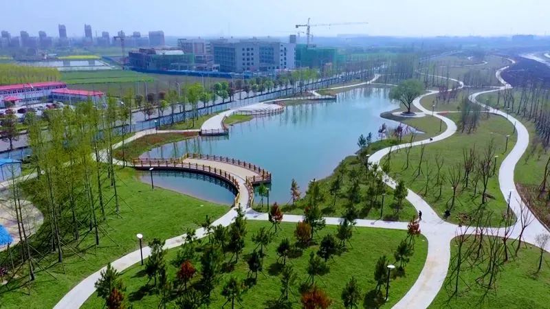 柳浪湖公园旅行图片 3