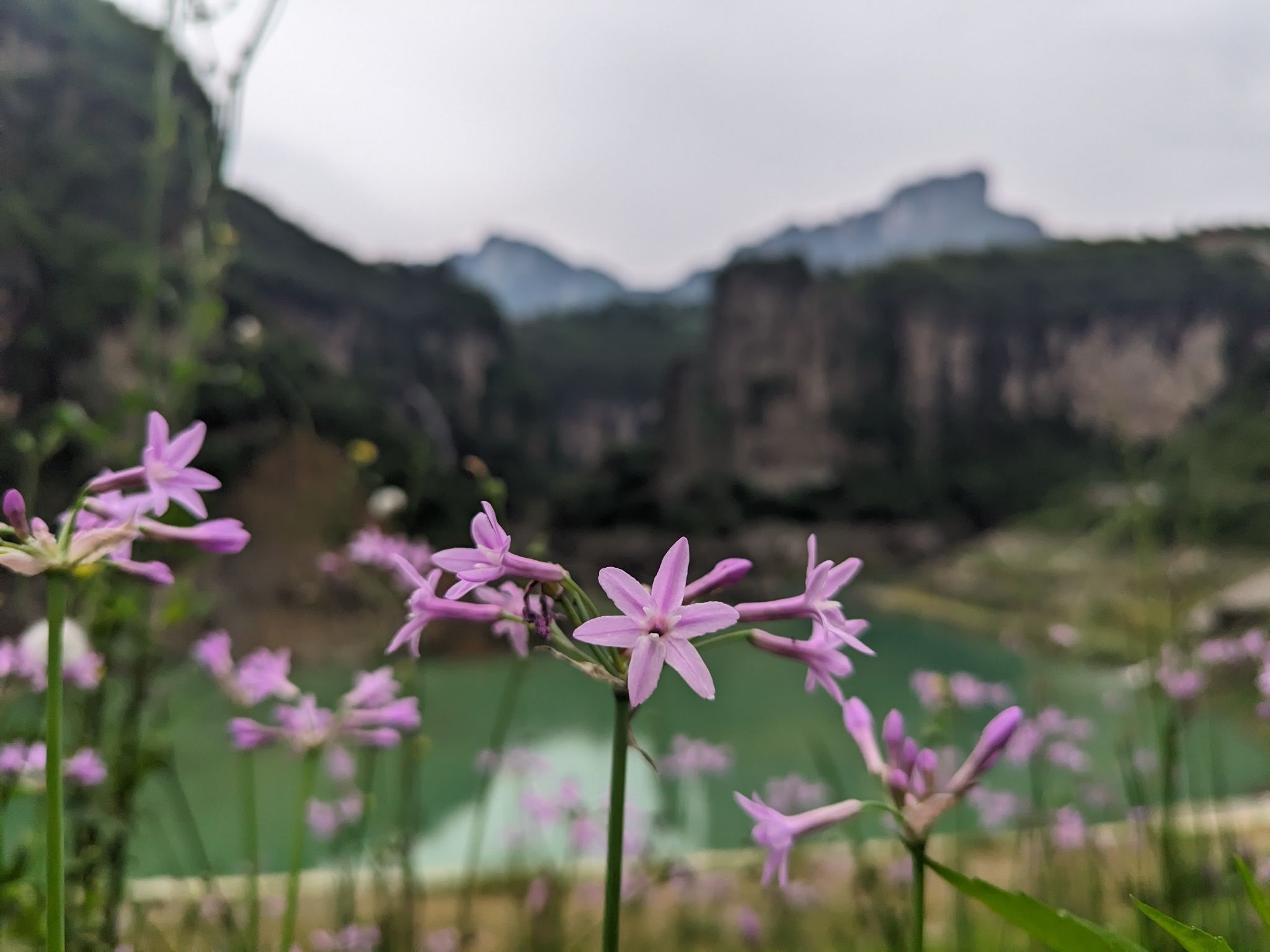 烛台峰旅行图片 1