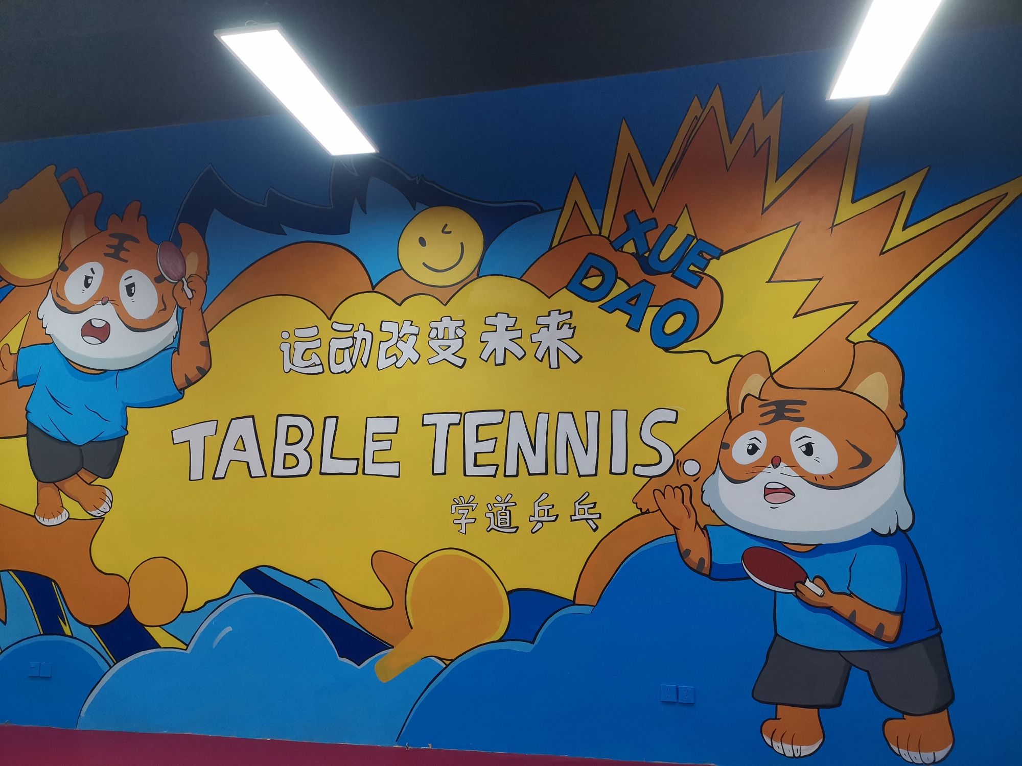 场地封面-南京学道乒乓体育发展有限公司