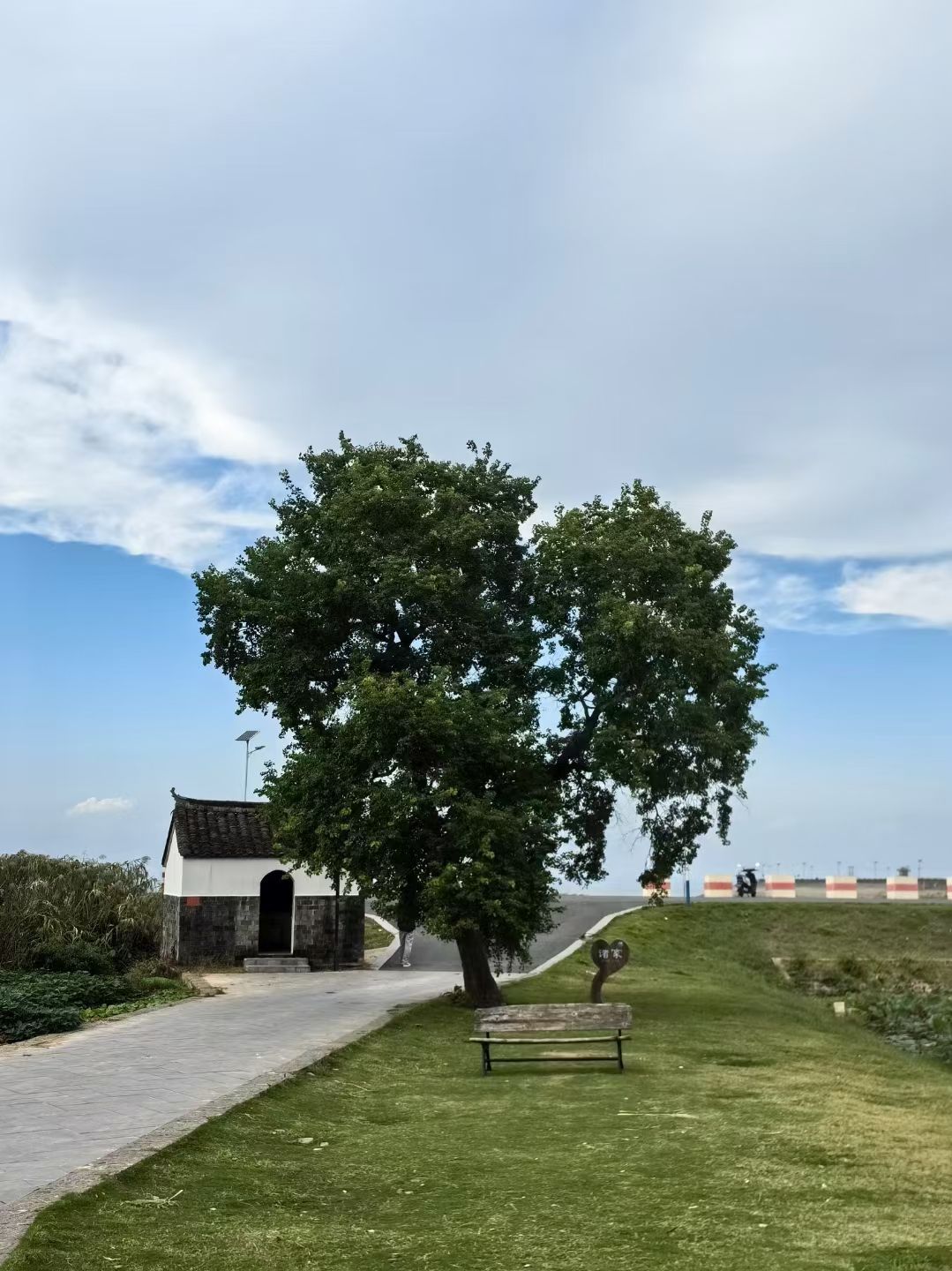 爱心树旅行图片 1