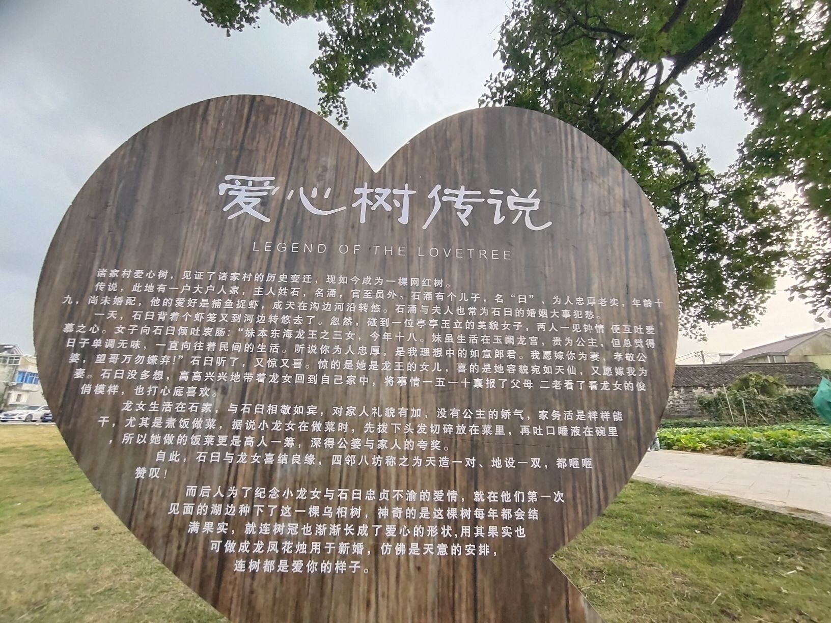 爱心树旅行图片 3