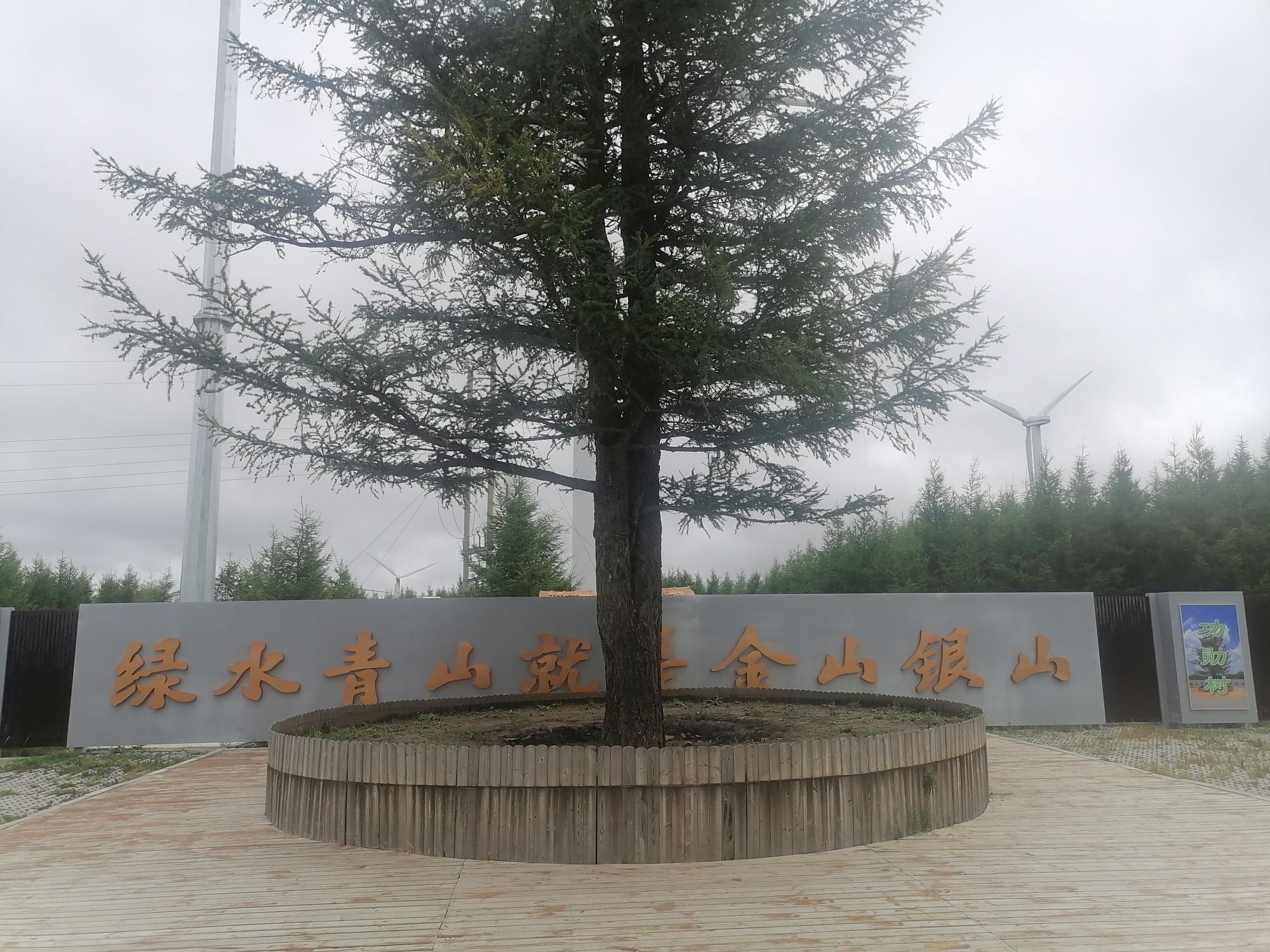 红松洼一棵松旅行图片 3