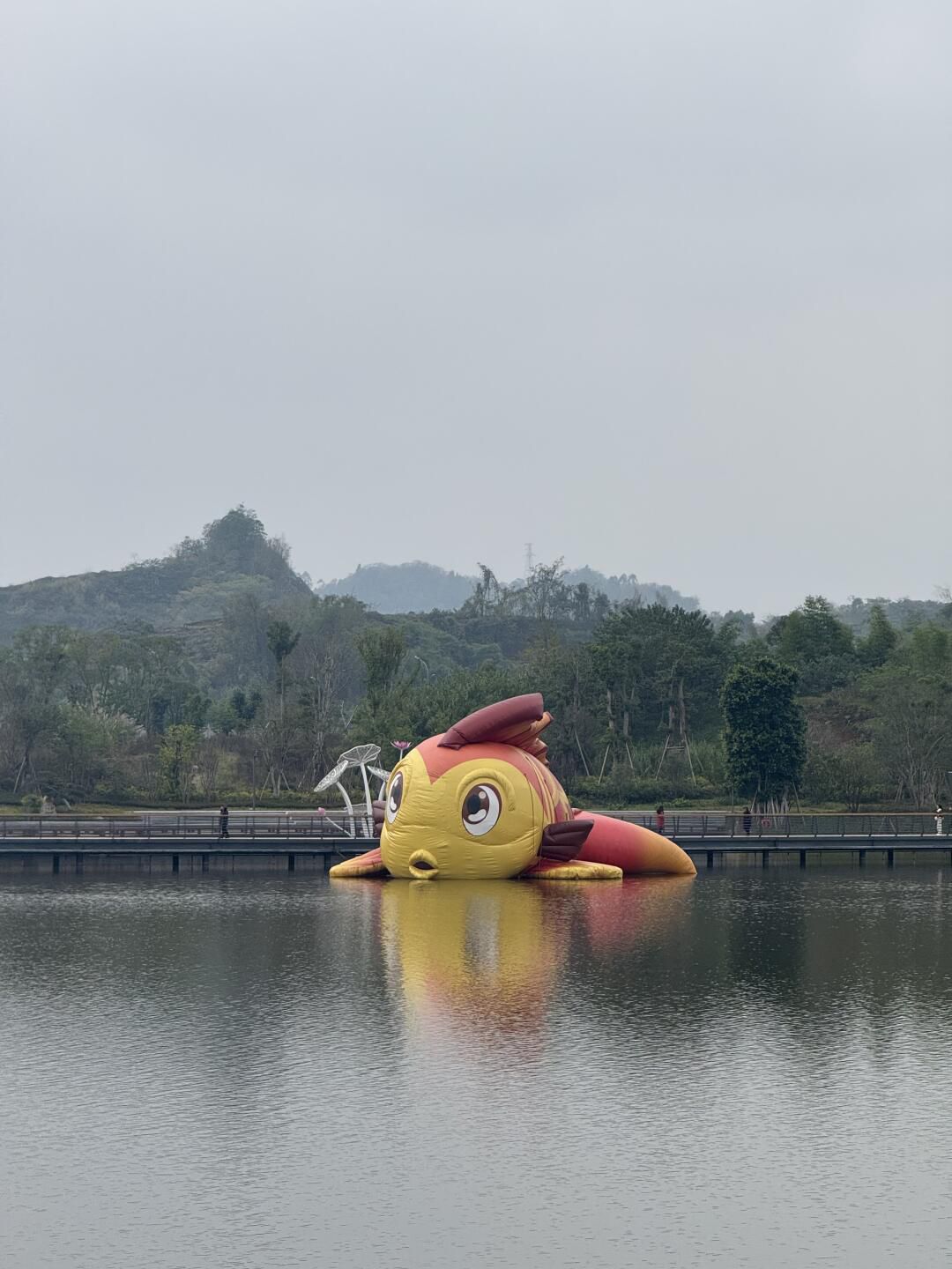 玉泉湖公园旅行图片 3