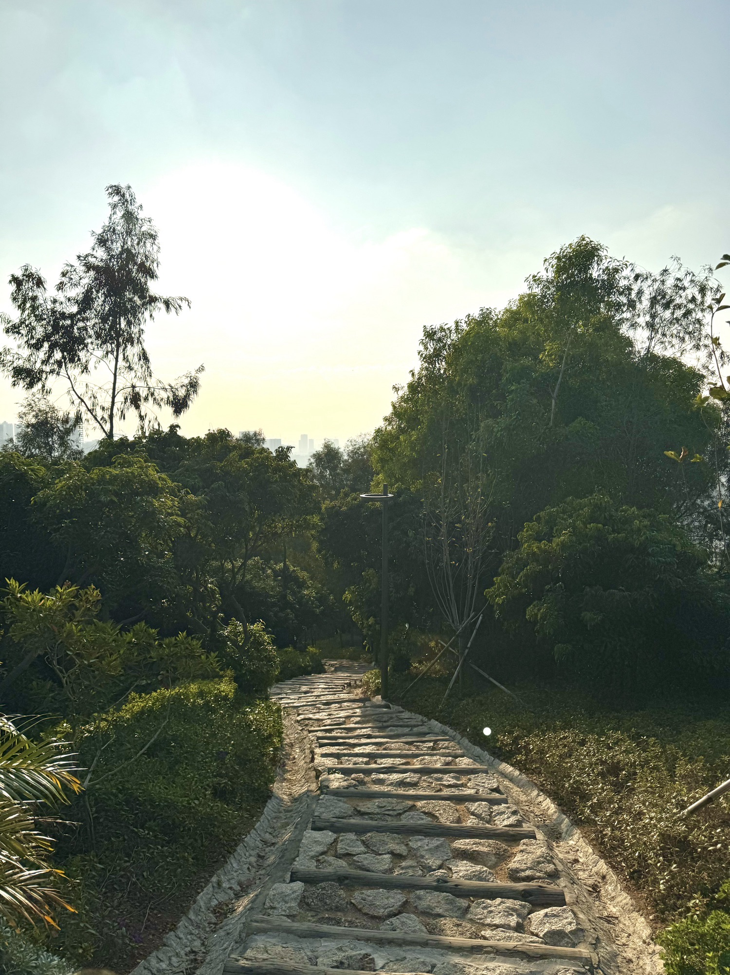 科学公园旅行图片 2