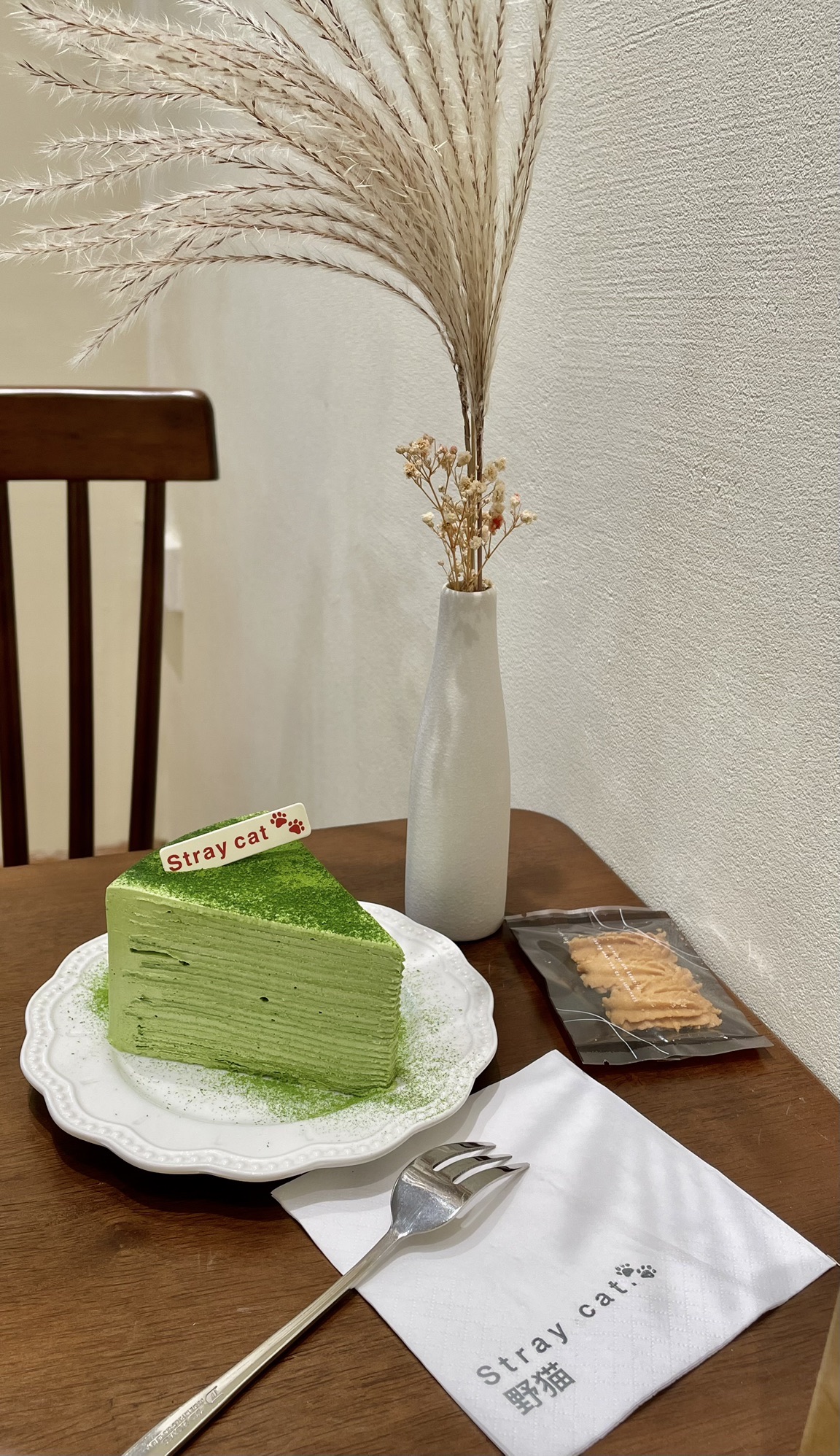 STRAY CAT.野猫(柑园店)