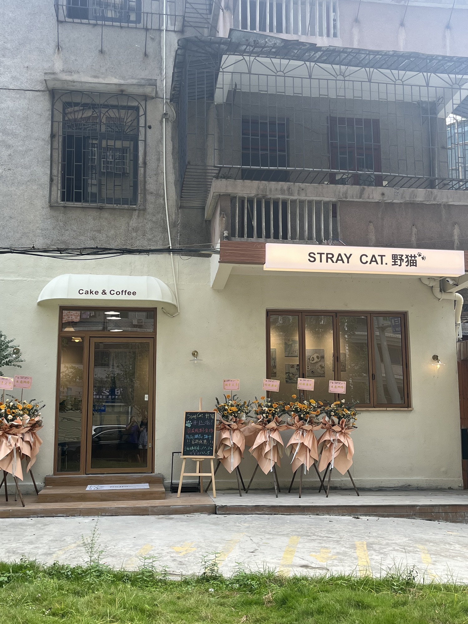 STRAY CAT.野猫(柑园店)