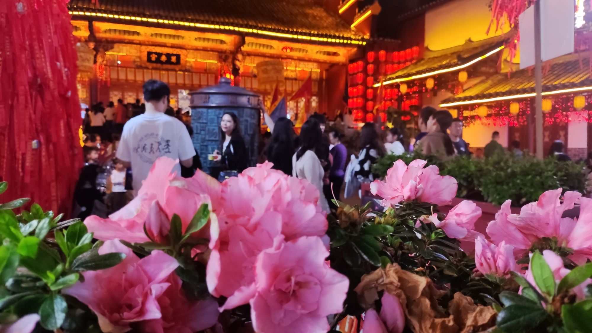 万寿宫旅行图片 3