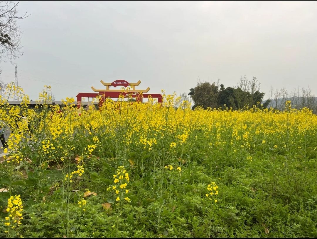 皇华城考古遗址公园旅行图片 2