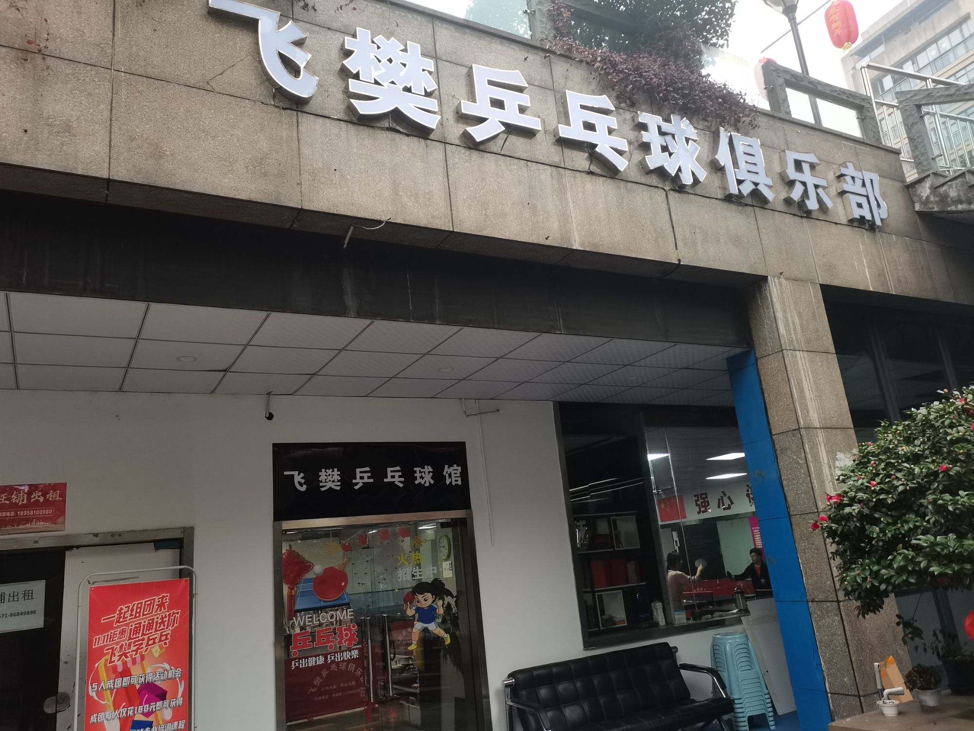 场地封面-飞樊乒乓球俱乐部