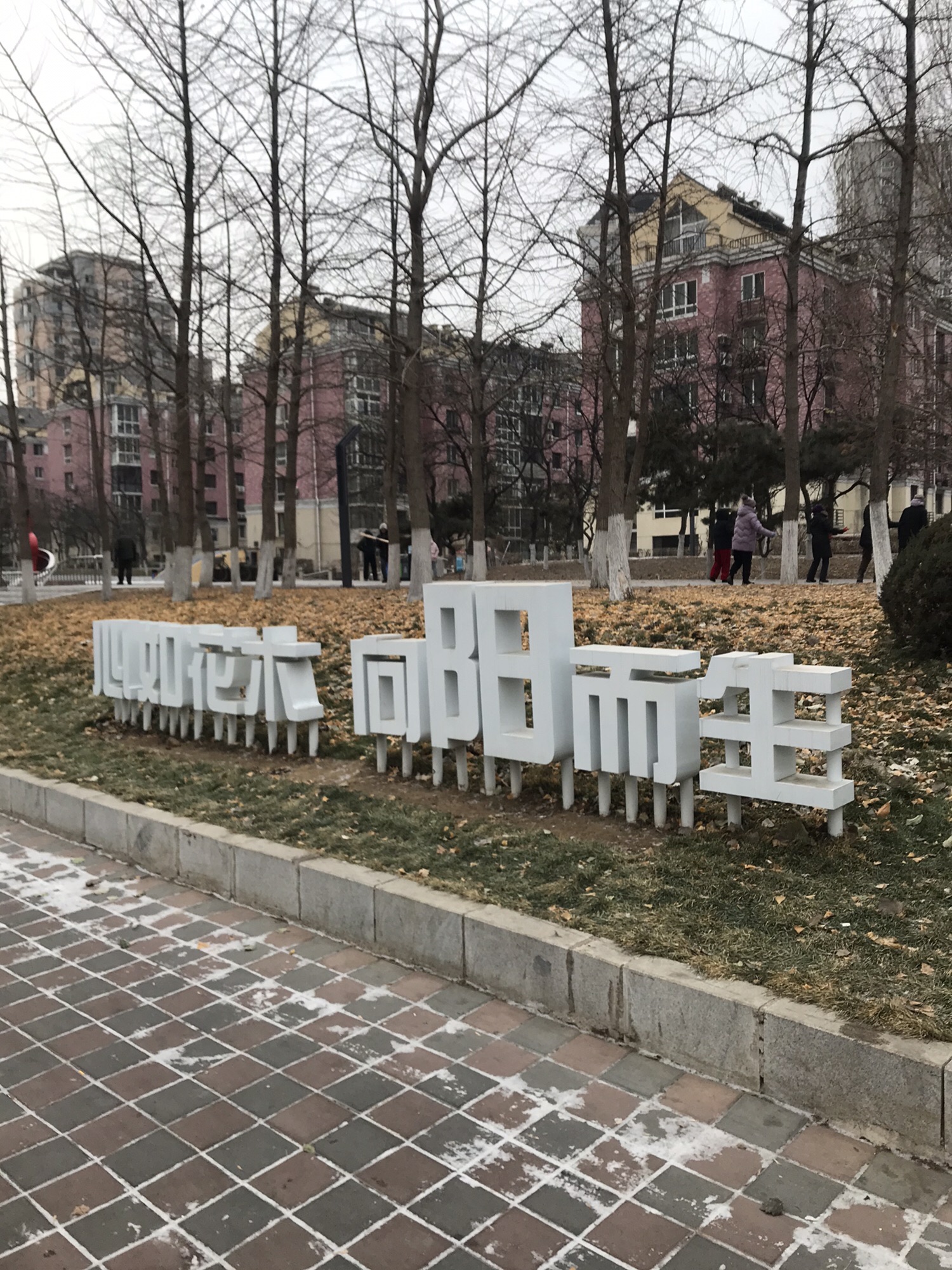 同江园旅行图片 2