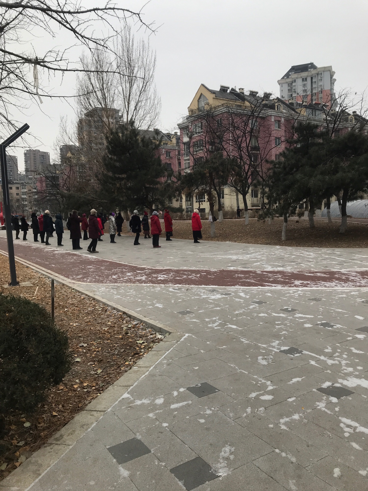 同江园旅行图片 3