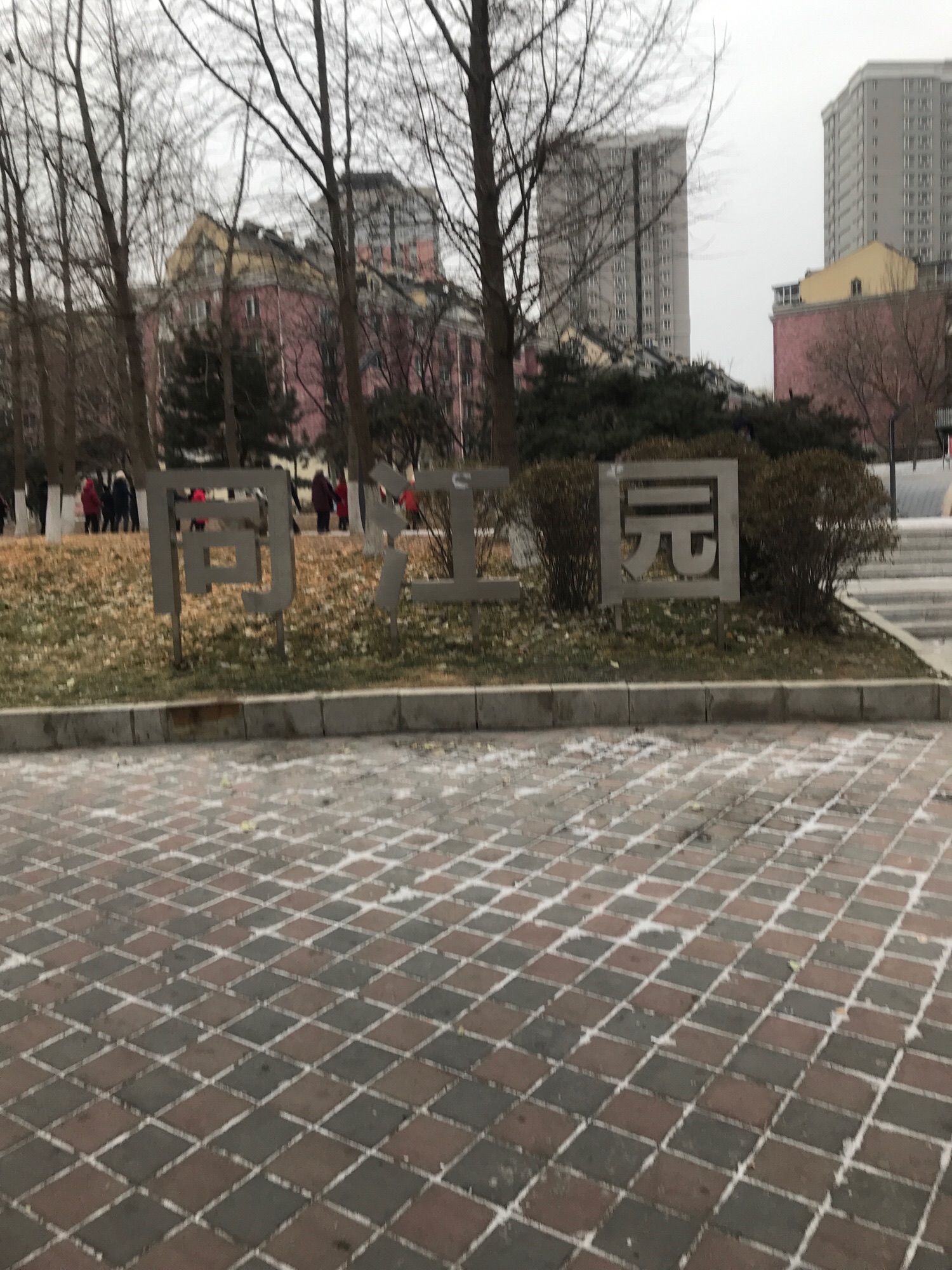同江园旅行图片 2