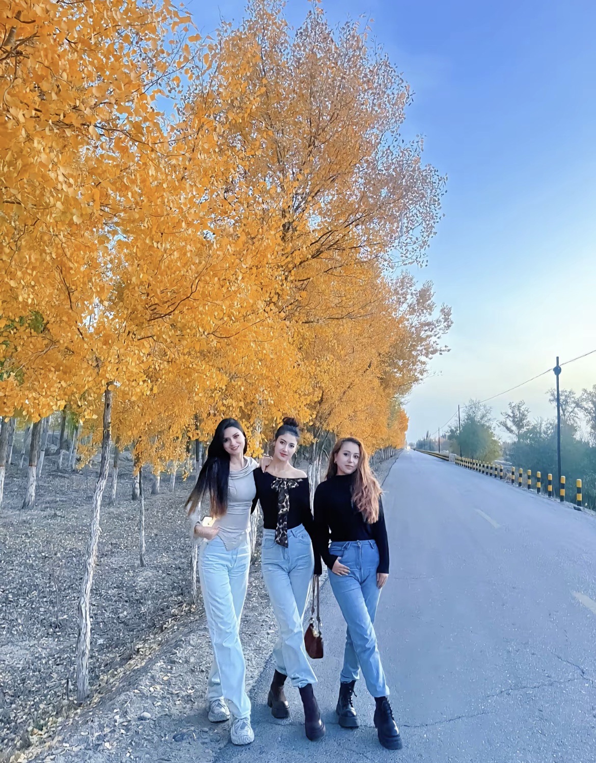 四子王旗胡杨林森林公园旅行图片 3