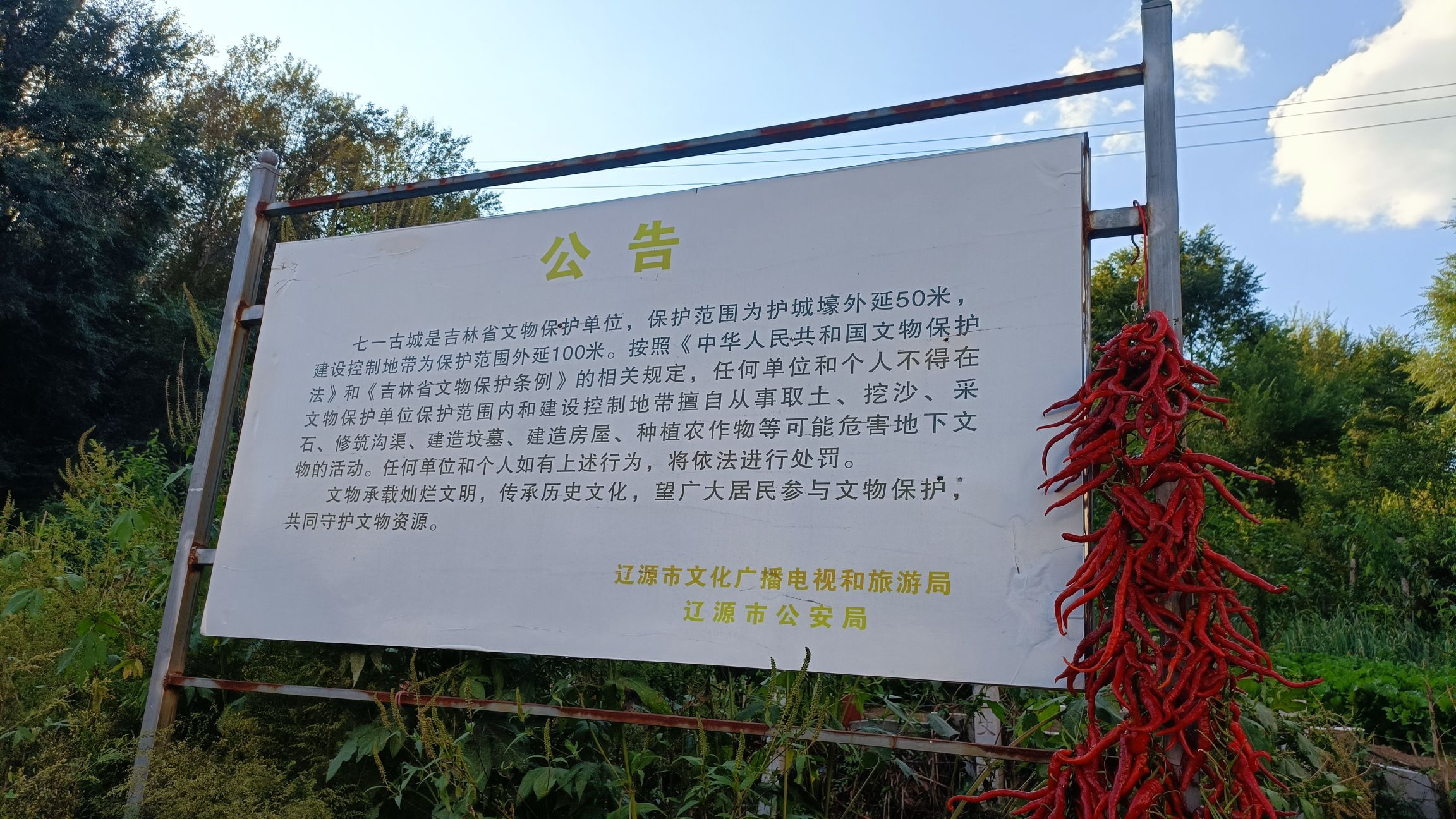 辽源七一古城遗址旅行图片 2