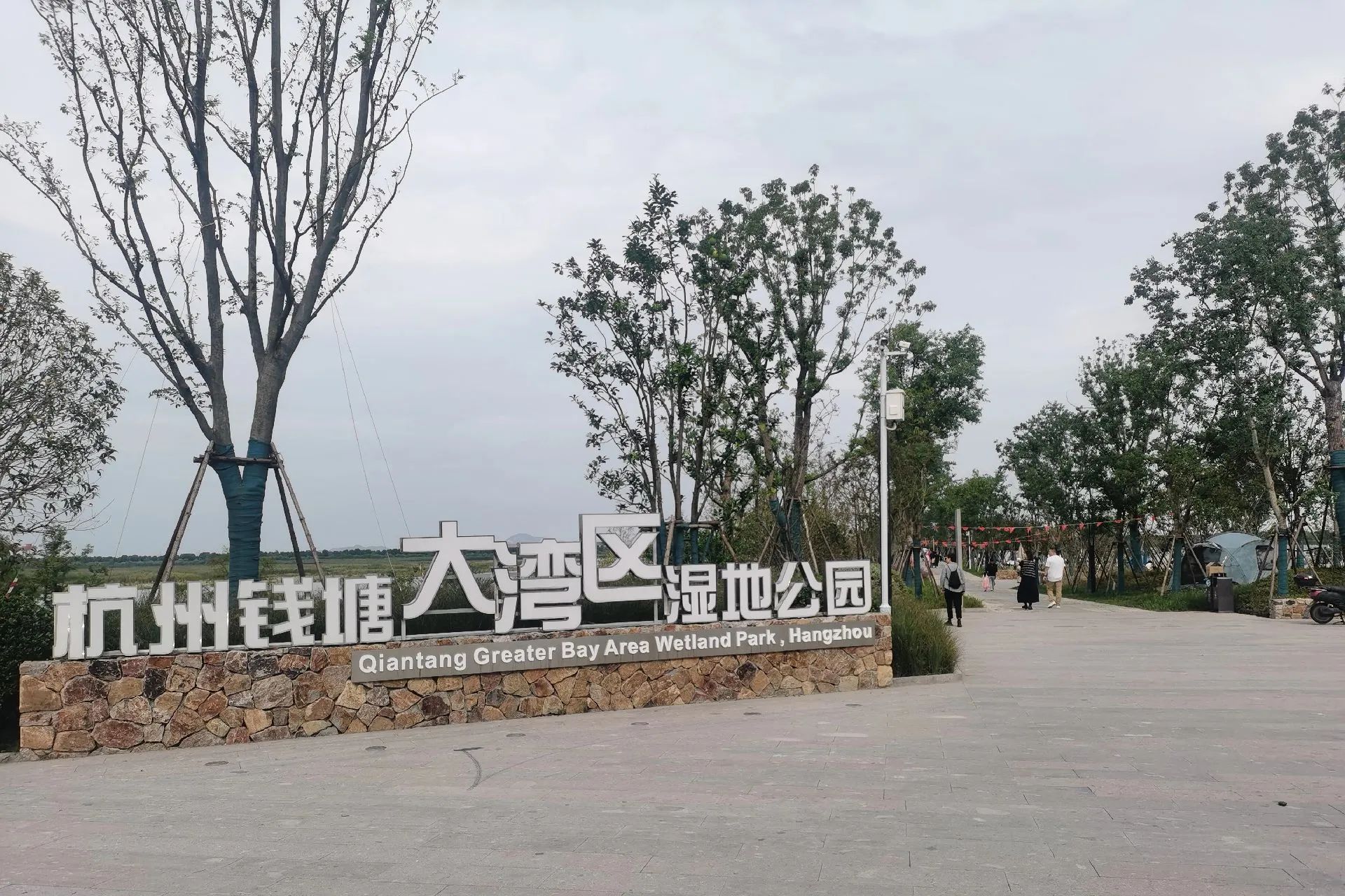 杭州钱塘大湾区湿地公园旅行图片 1