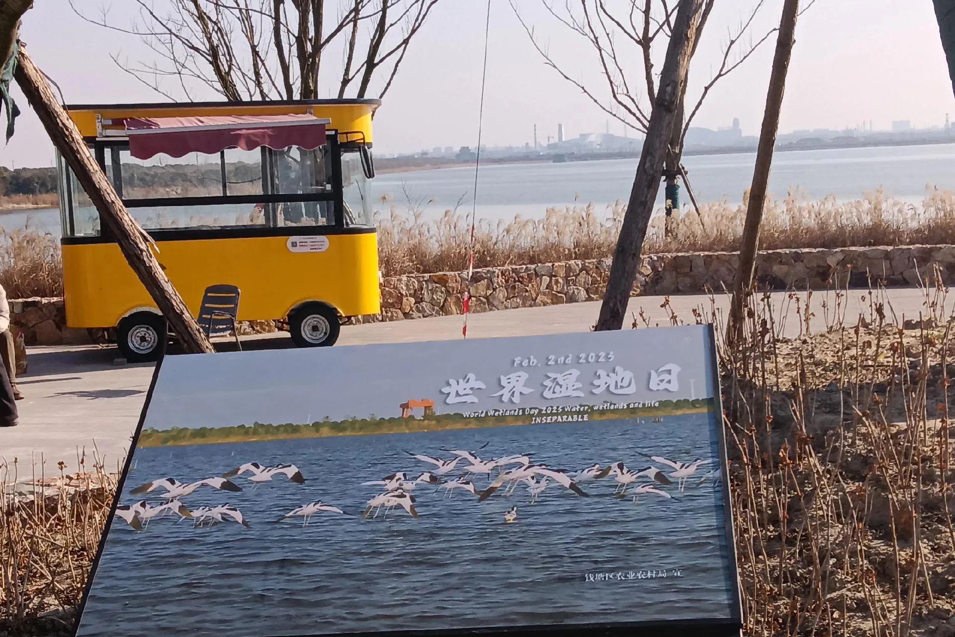 杭州钱塘大湾区湿地公园旅行图片 2