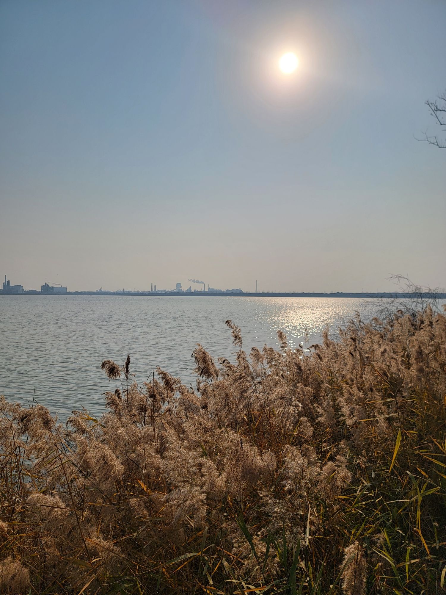 杭州钱塘大湾区湿地公园旅行图片 1