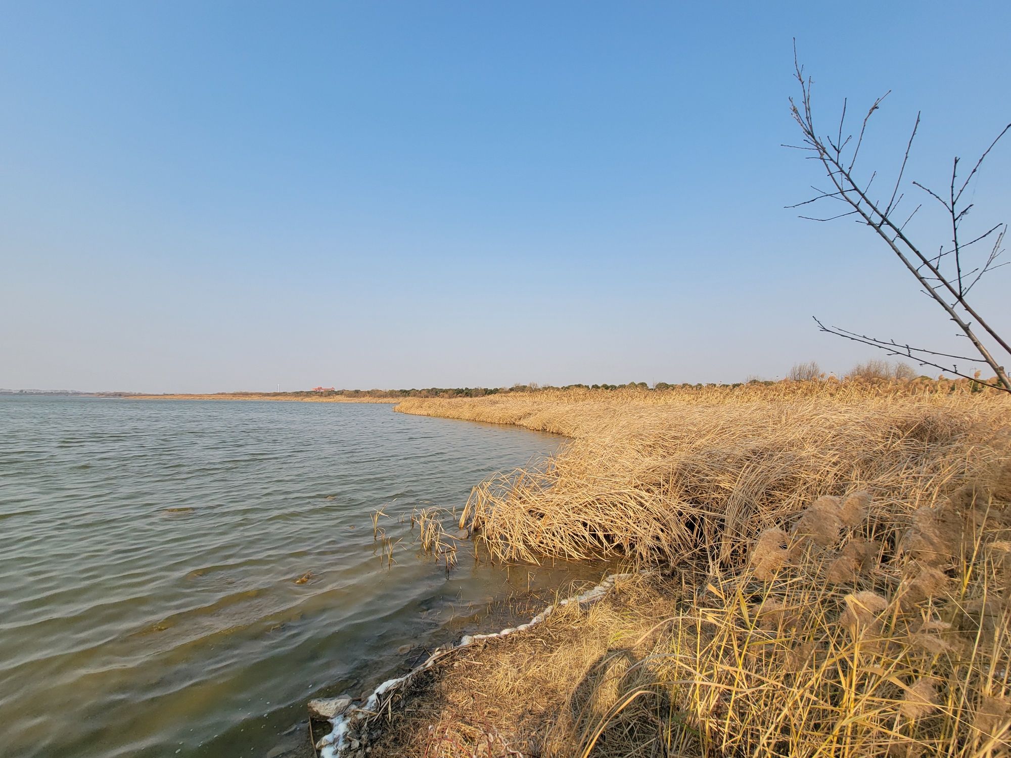 杭州钱塘大湾区湿地公园旅行图片 2