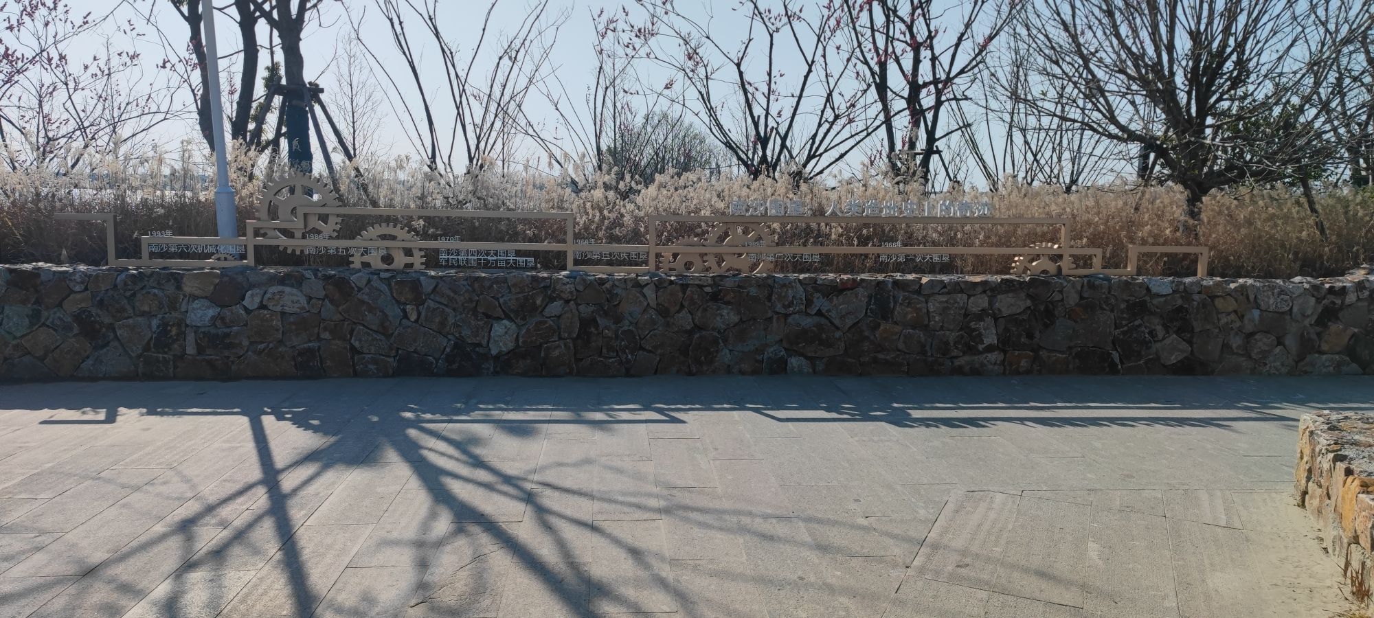 杭州钱塘大湾区湿地公园旅行图片 2