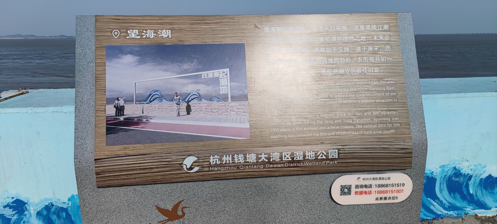 杭州钱塘大湾区湿地公园旅行图片 3