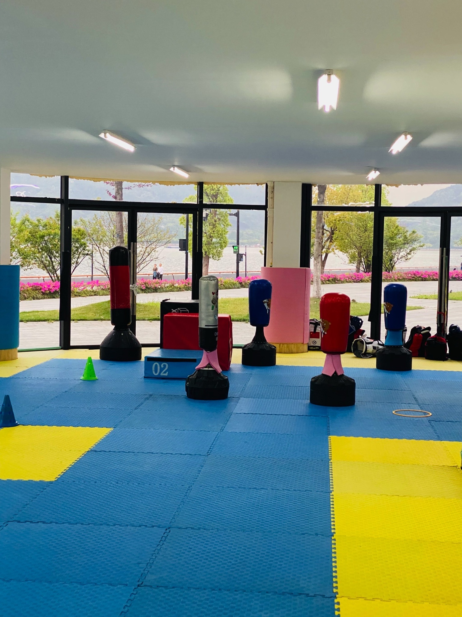 场地封面-跆拳小熊