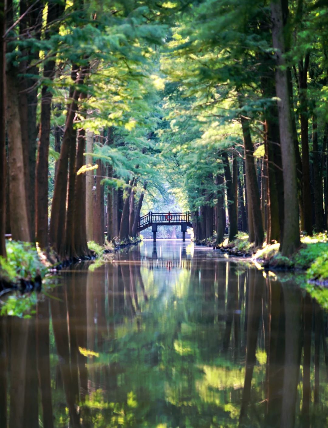 元气森林咸宁工业旅游景区