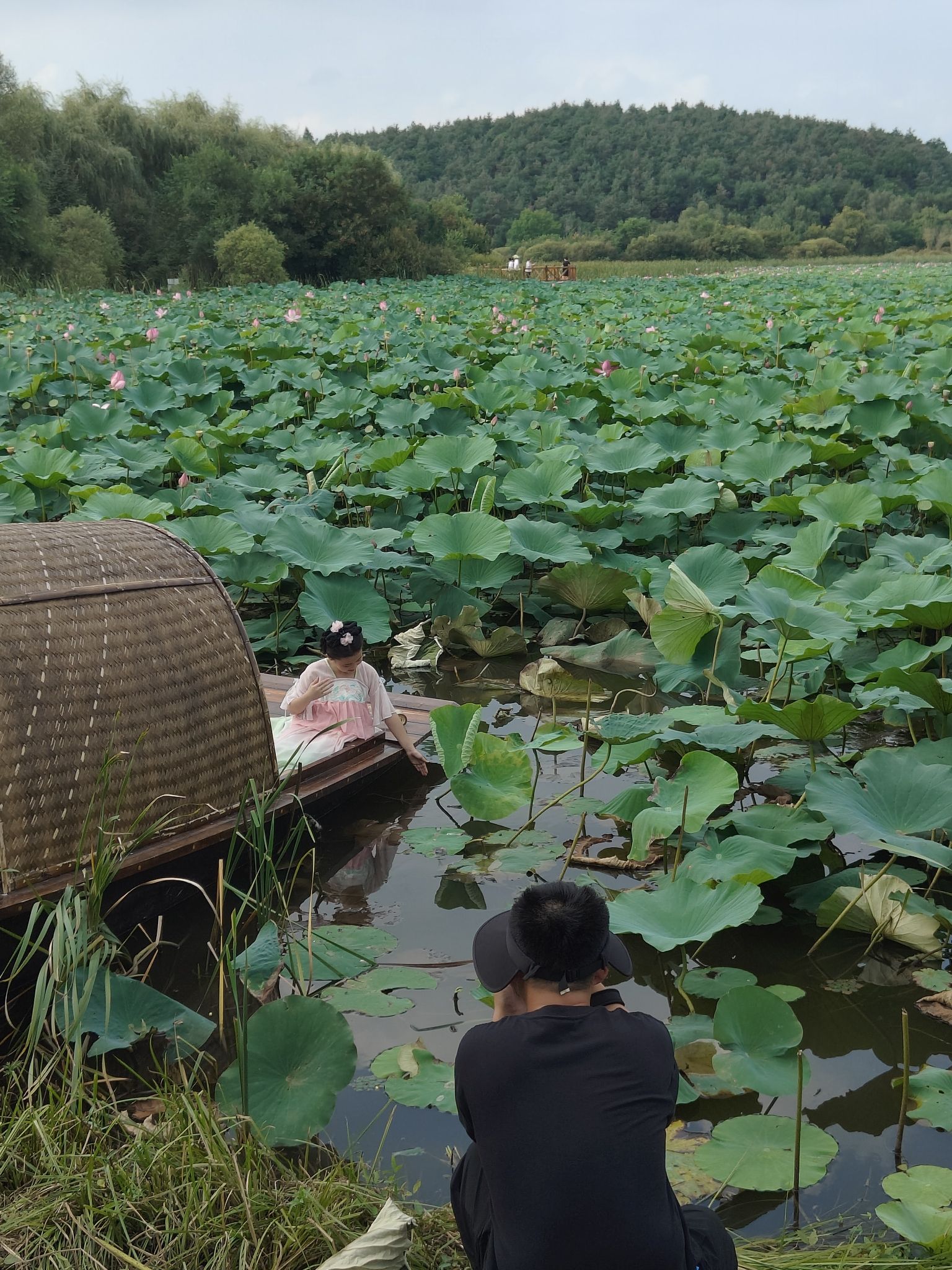 竹筏湿地公园旅行图片 1