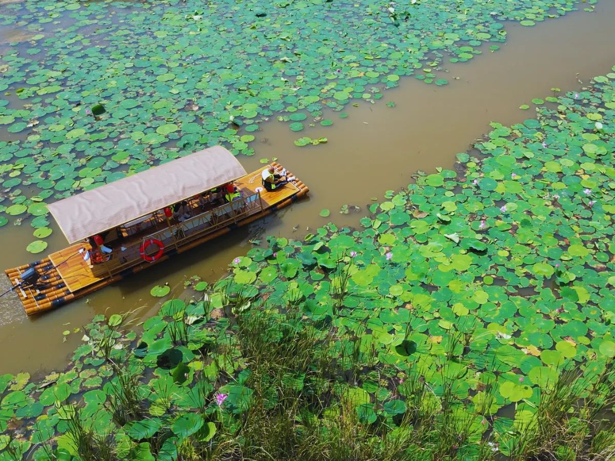 竹筏湿地公园