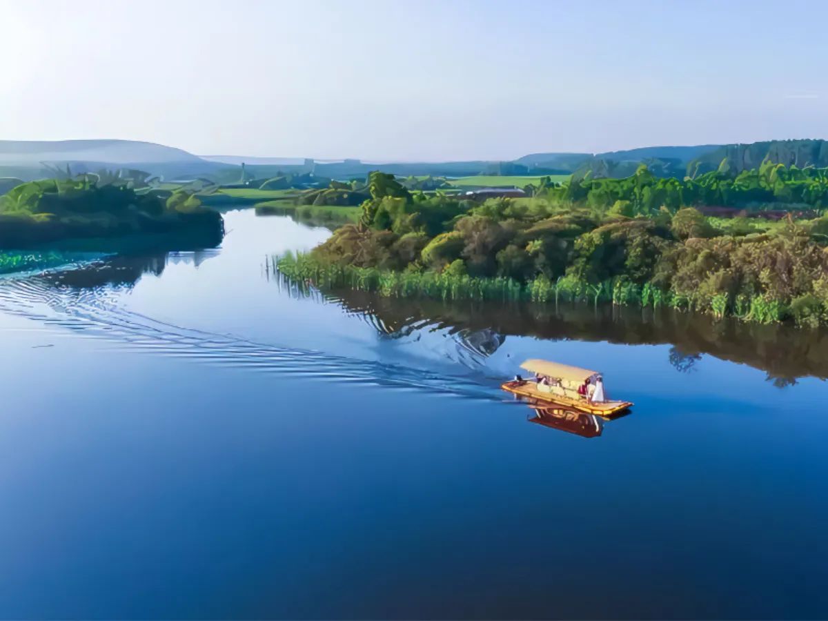 竹筏湿地公园旅行图片 2