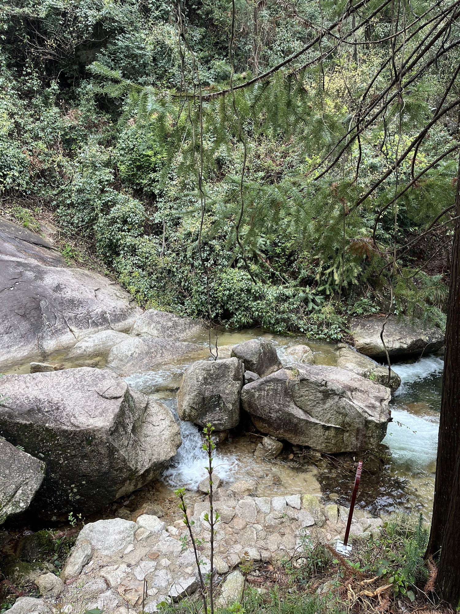 情人瀑旅行图片 3