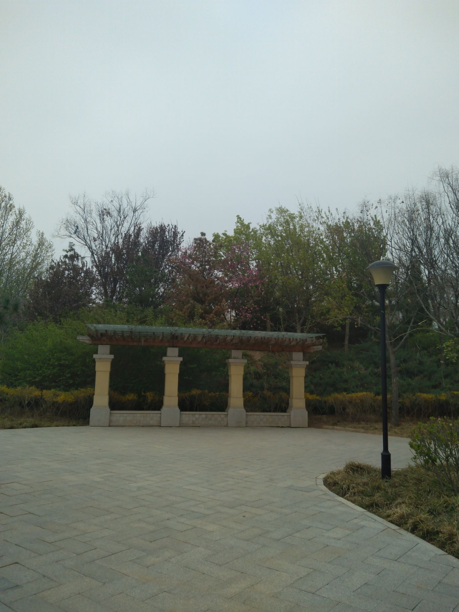 光明园旅行图片 3