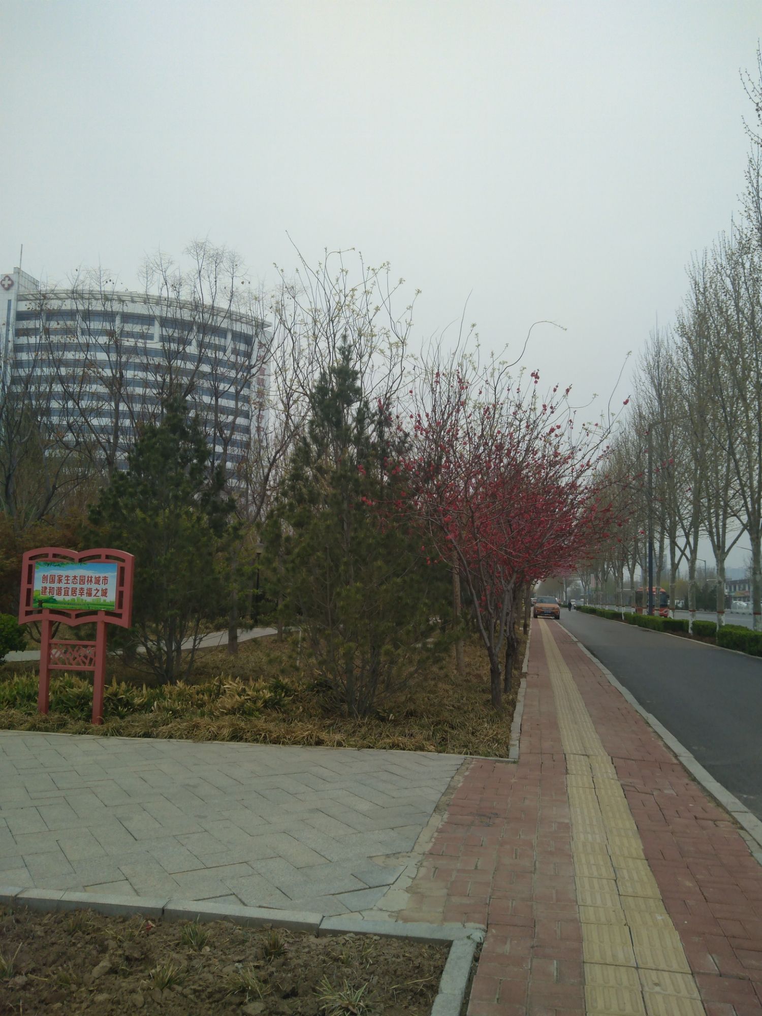 光明园旅行图片 2