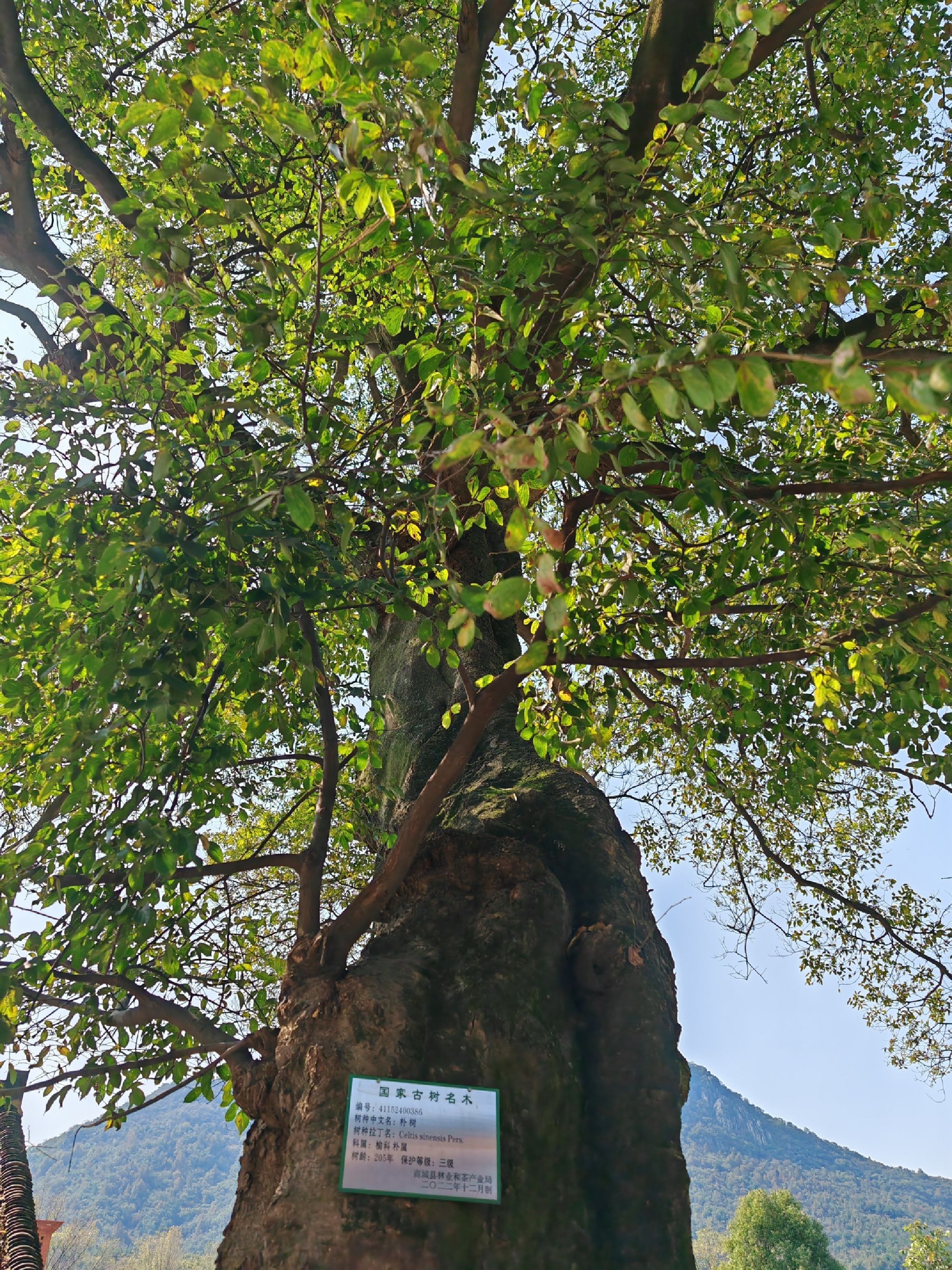 郭窑遗址旅行图片 2